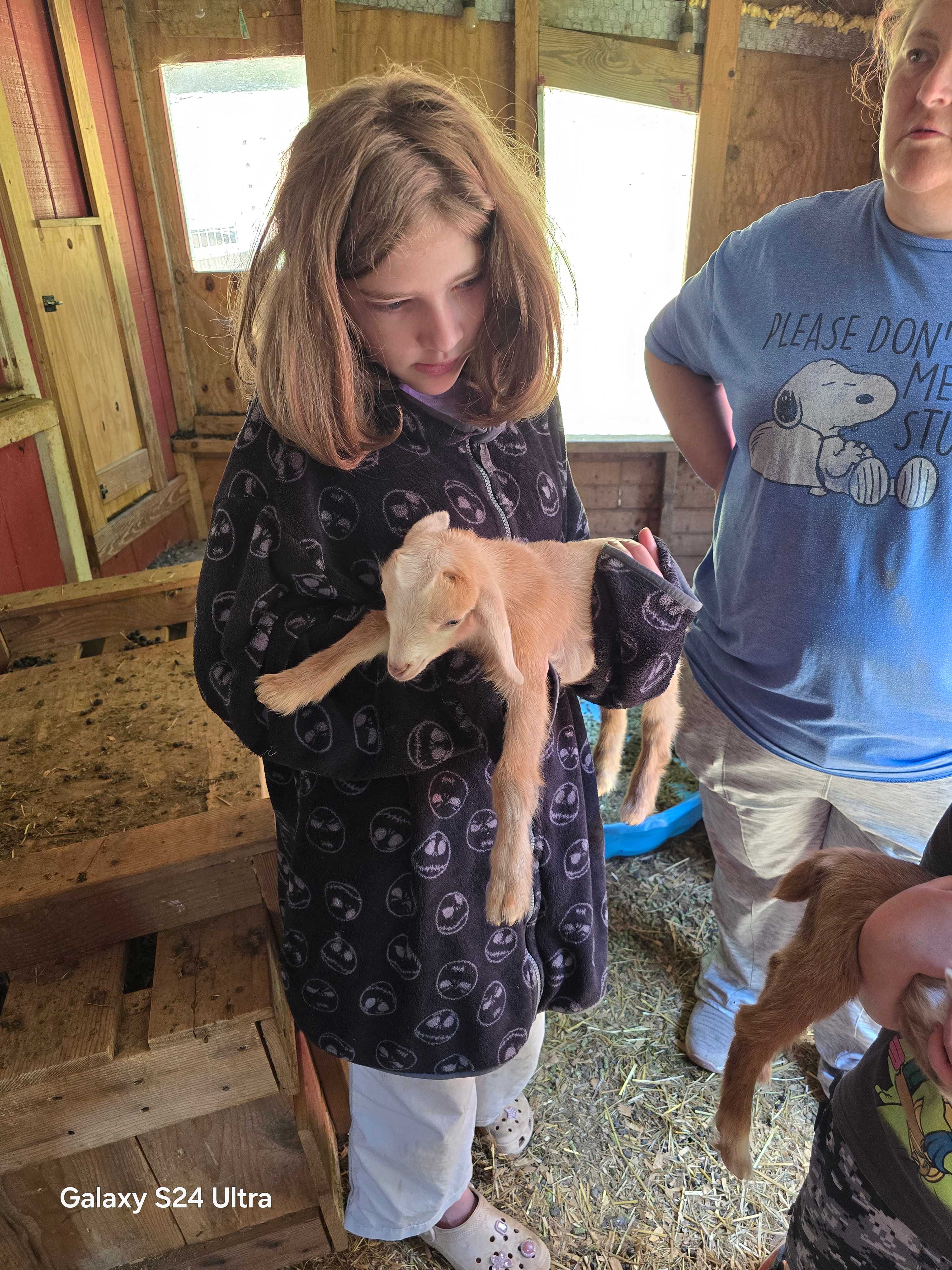 Candy Mountain Goat Farm