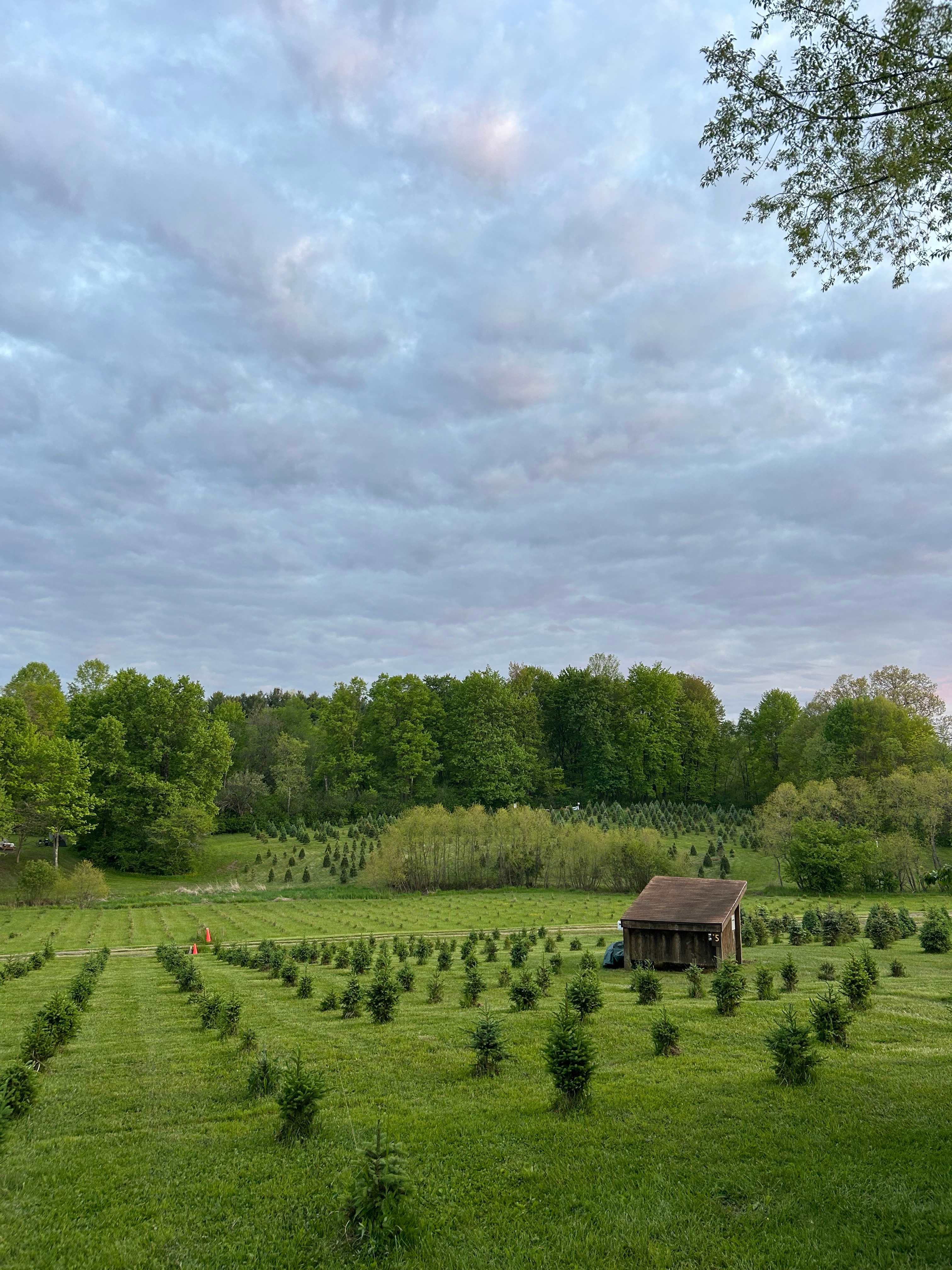 Camping at Heritage Farms