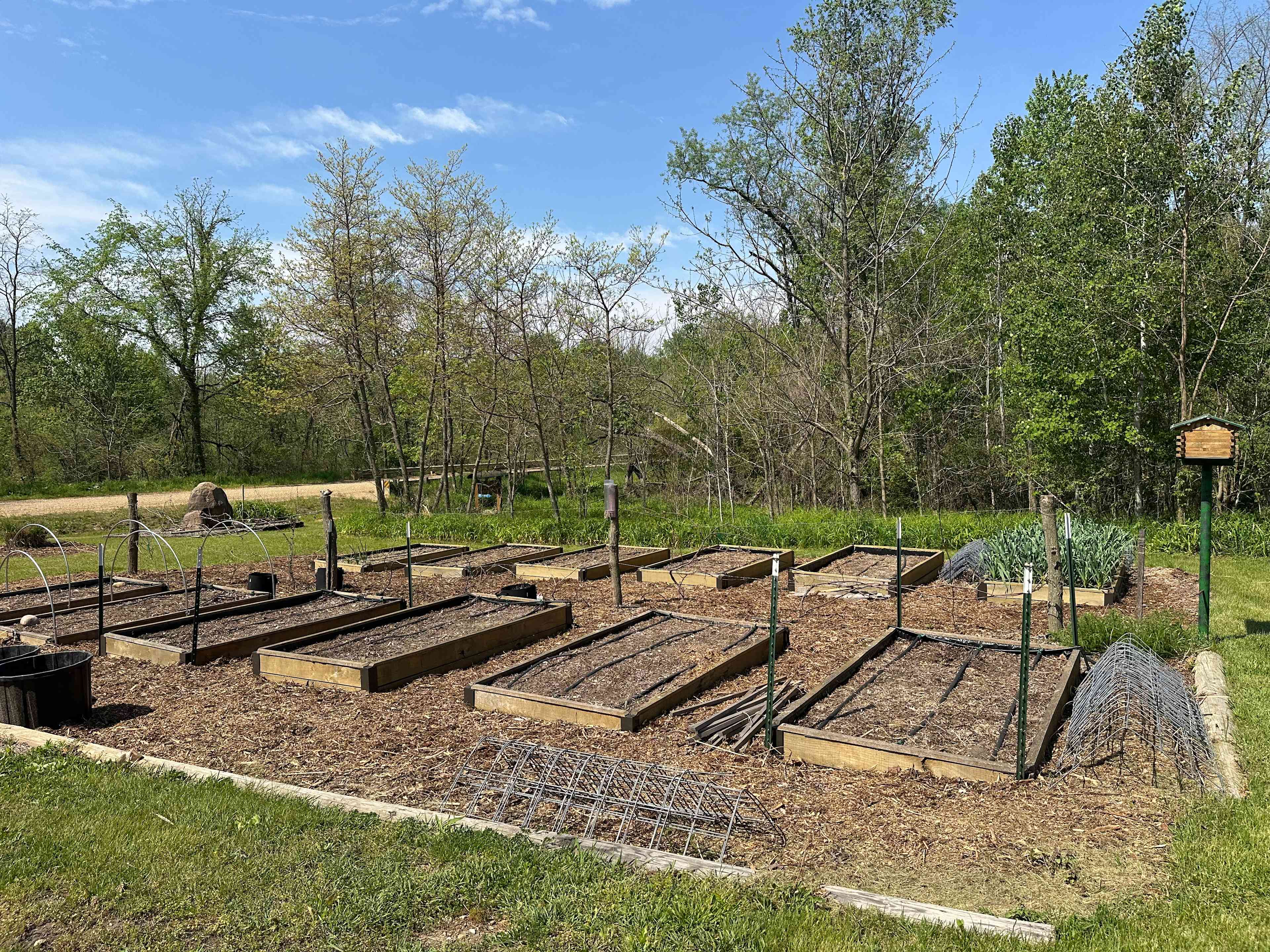 The garden towards the front of the property. 