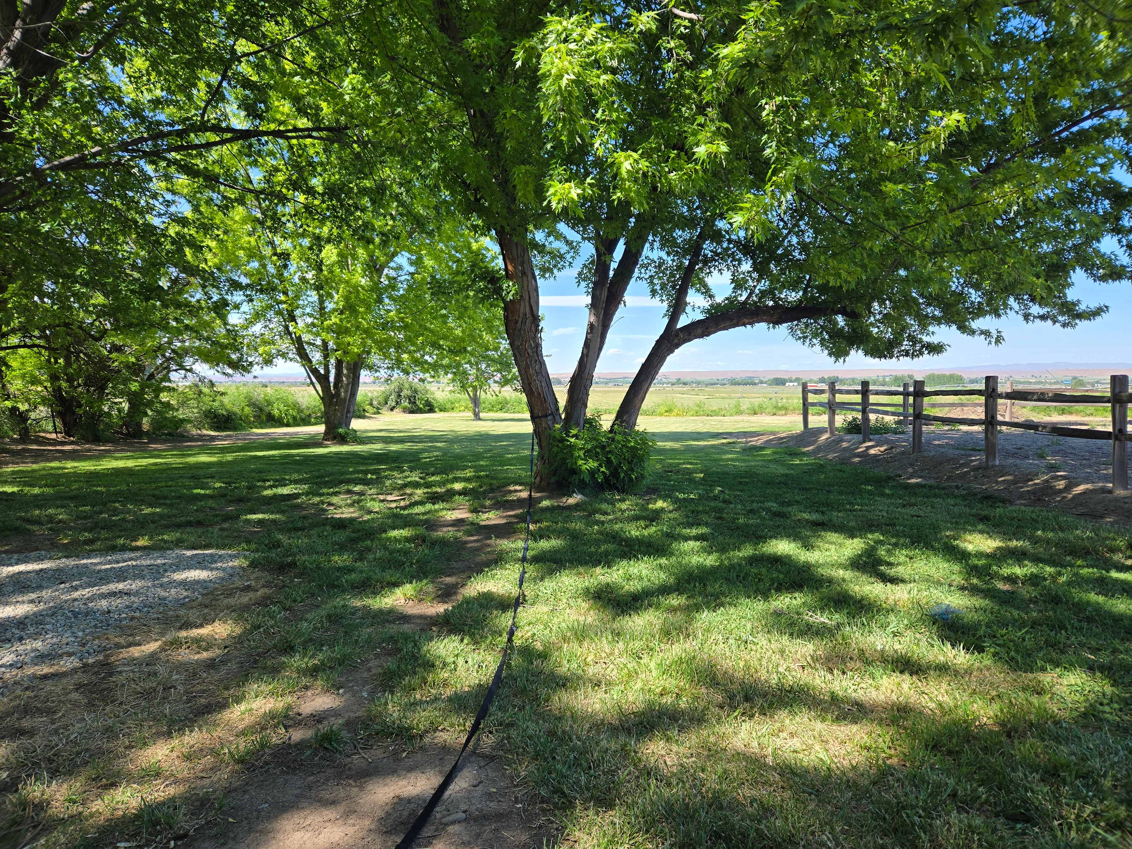 View from camp space.