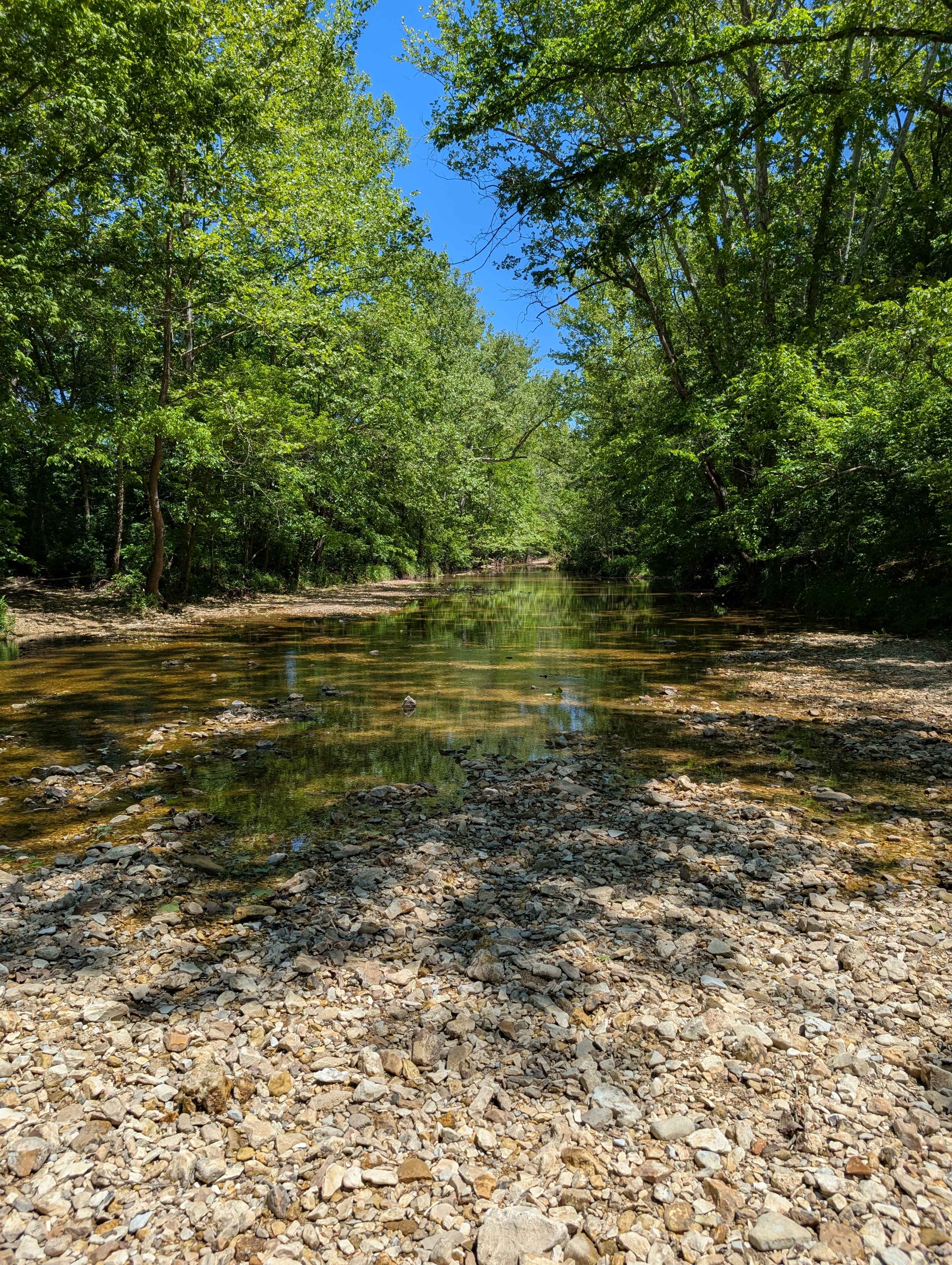 The creek