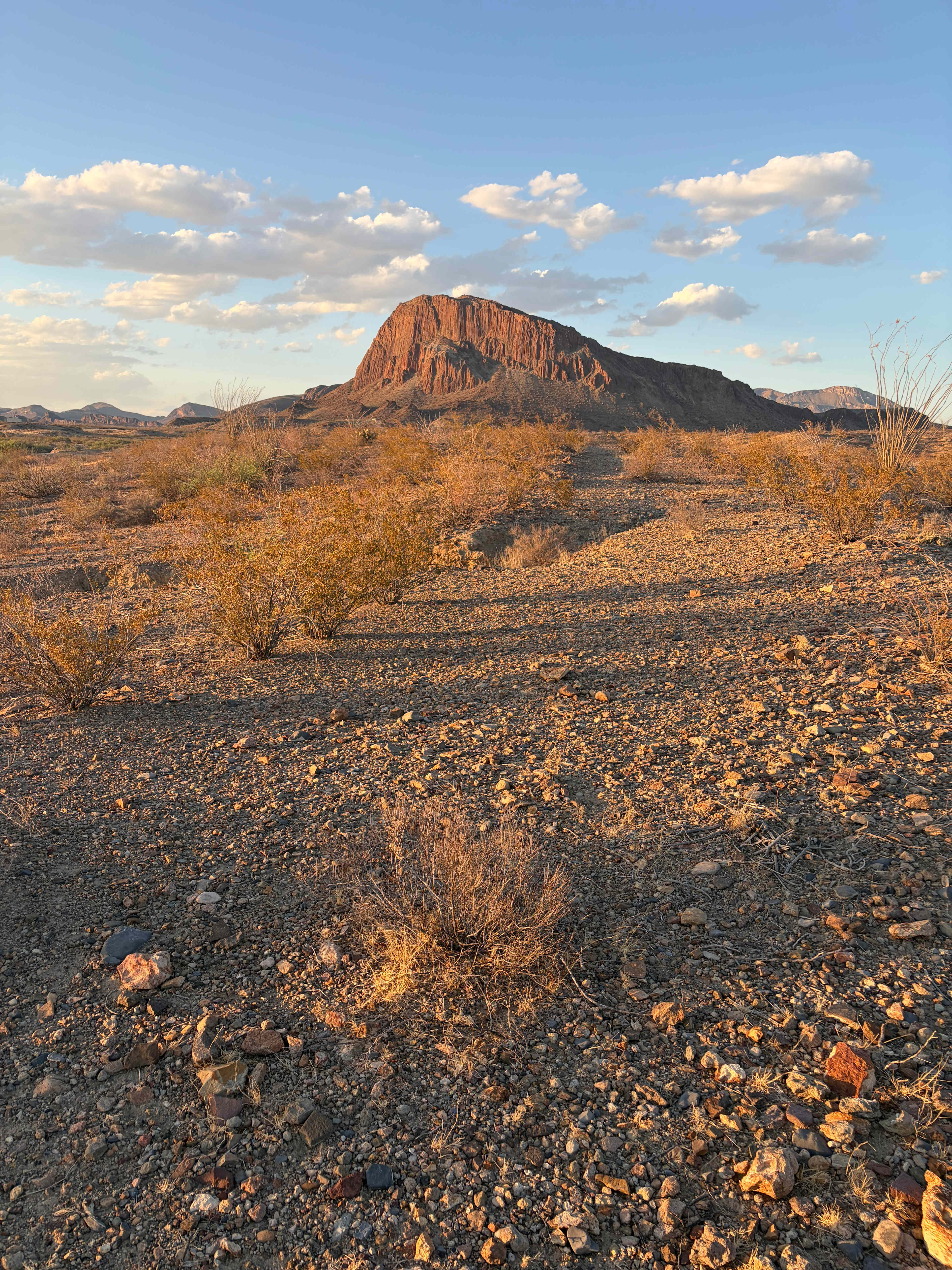 Willow Creek Camping Company