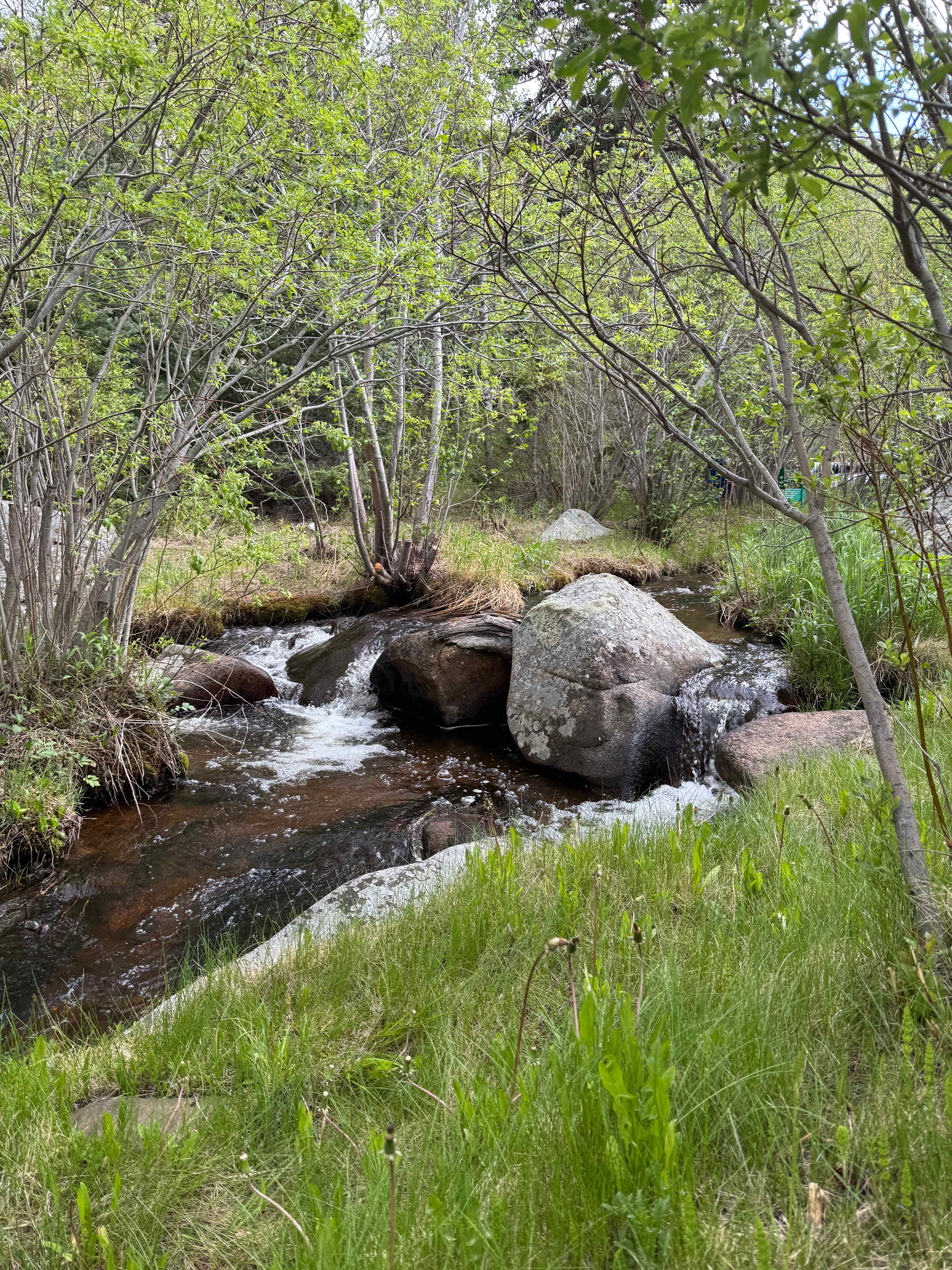 River through property