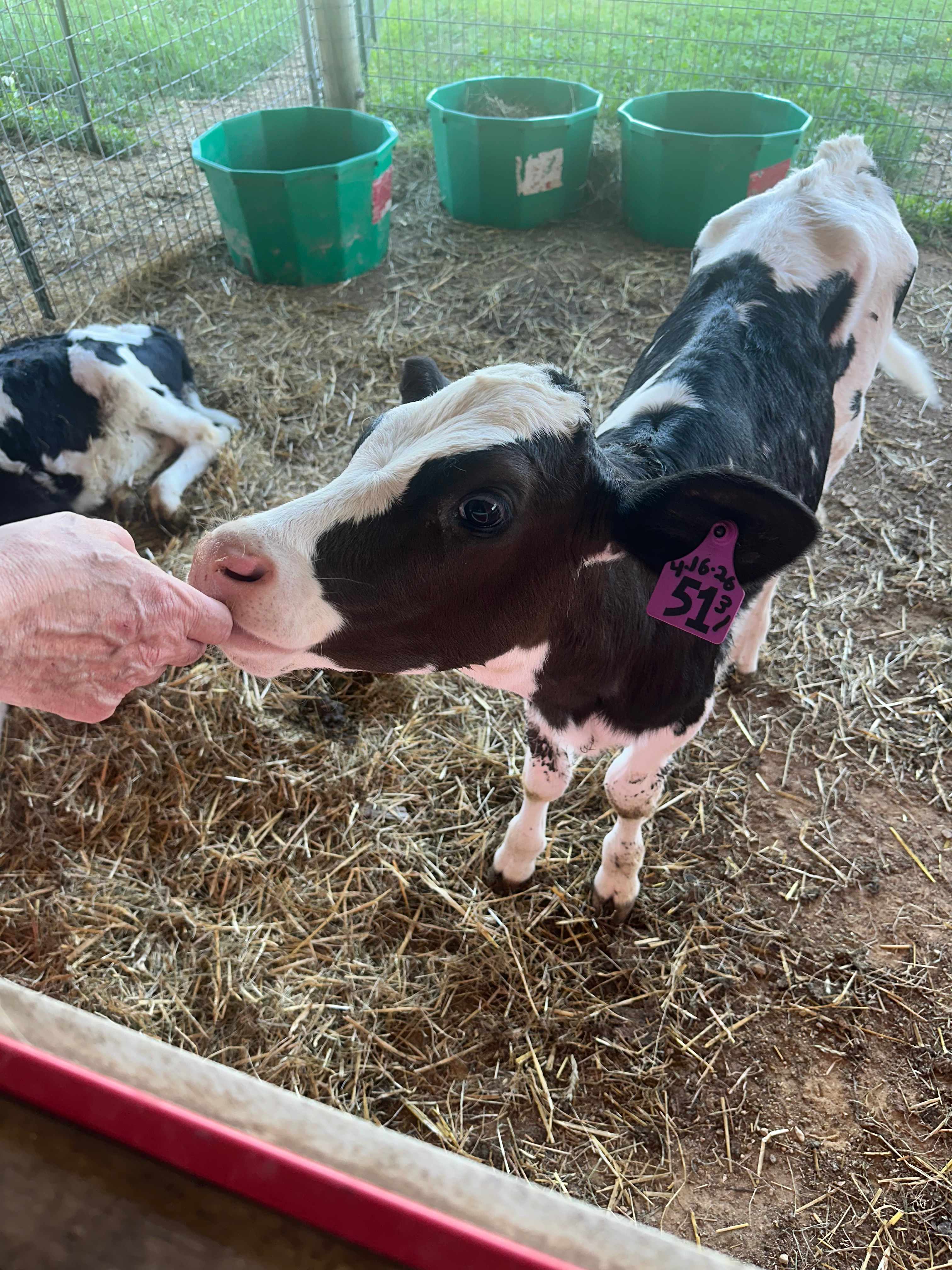 Elysian View Farms