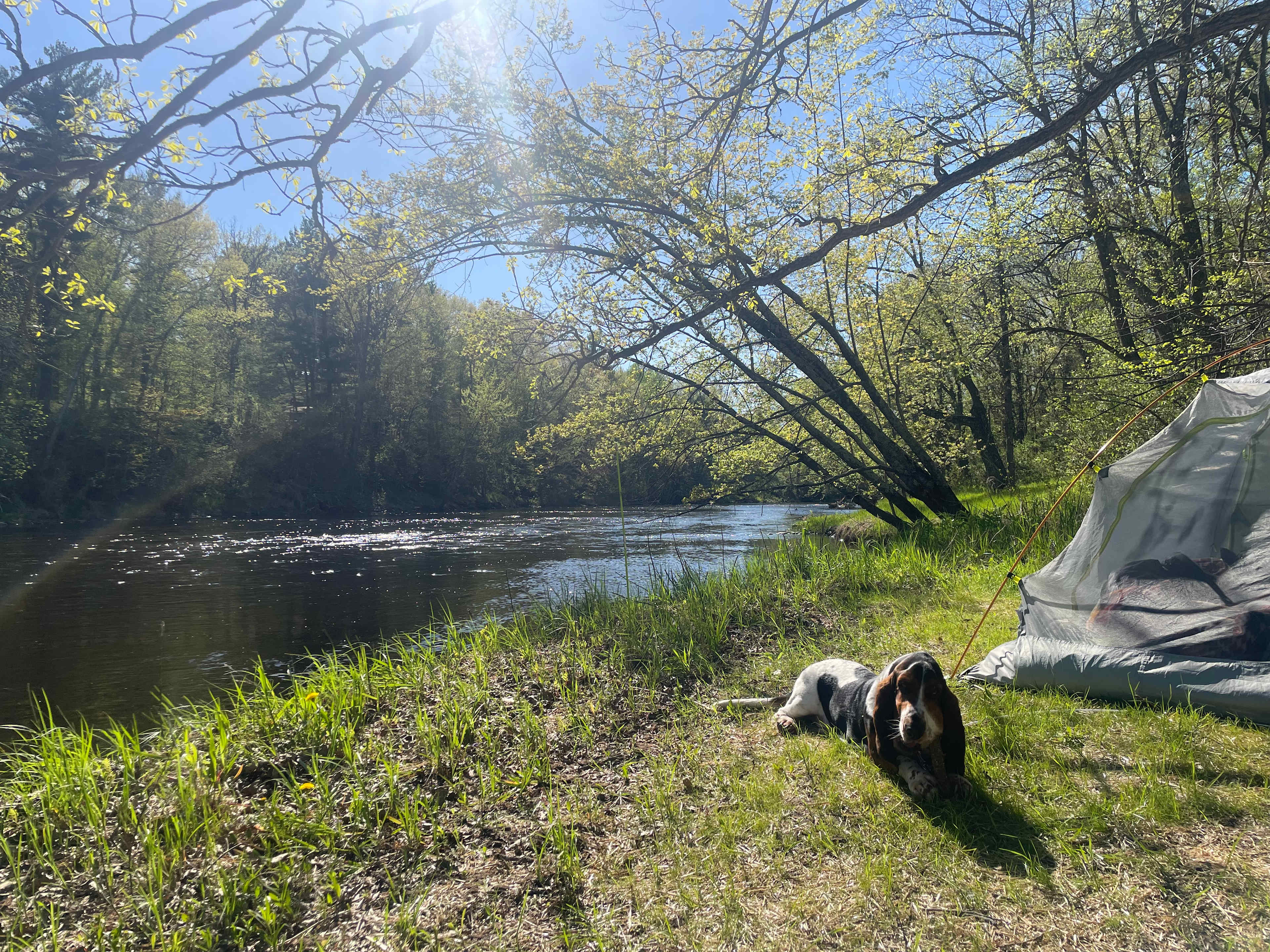 O'Dalaigh Hideaway