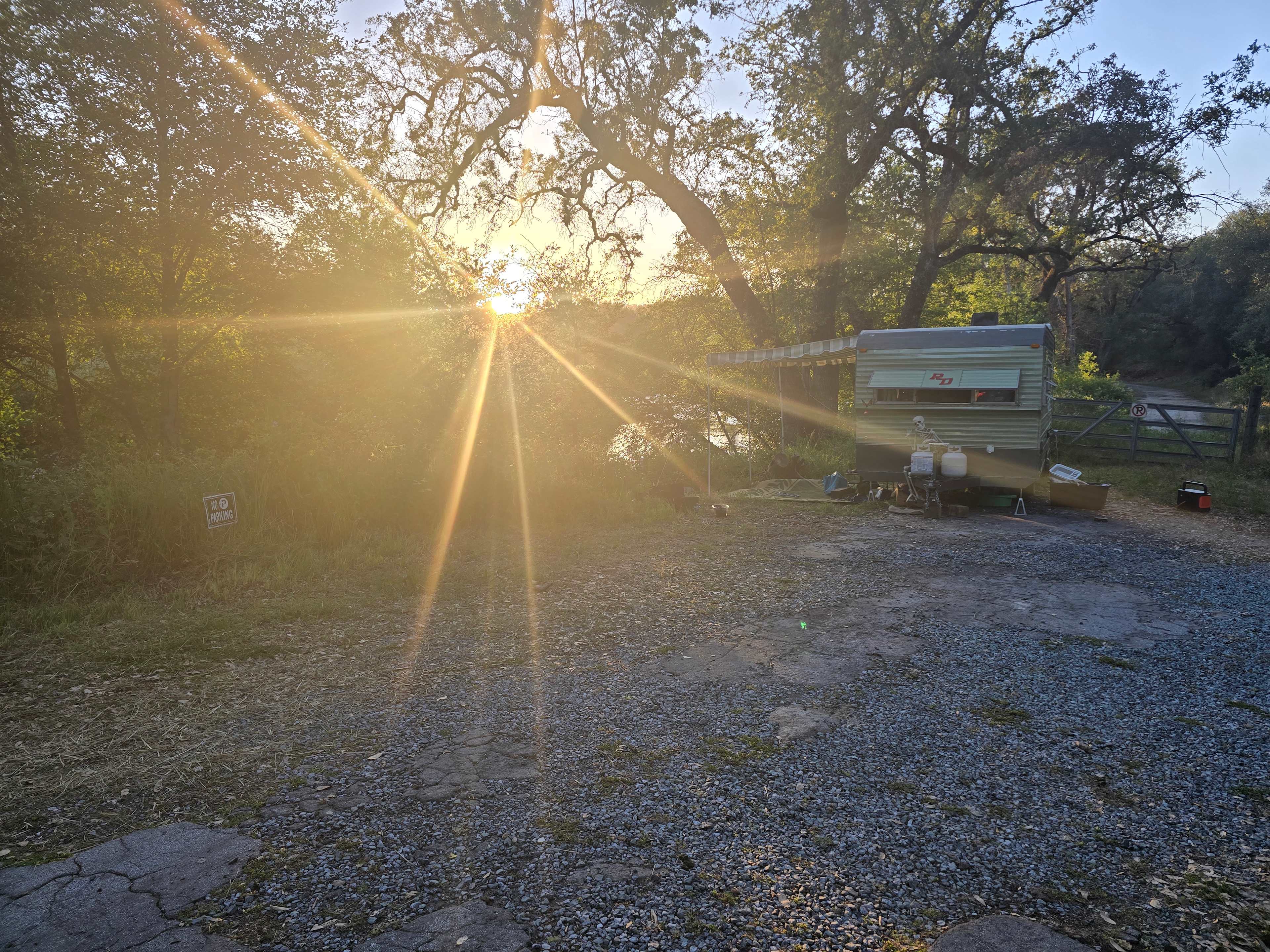 Picture of the site