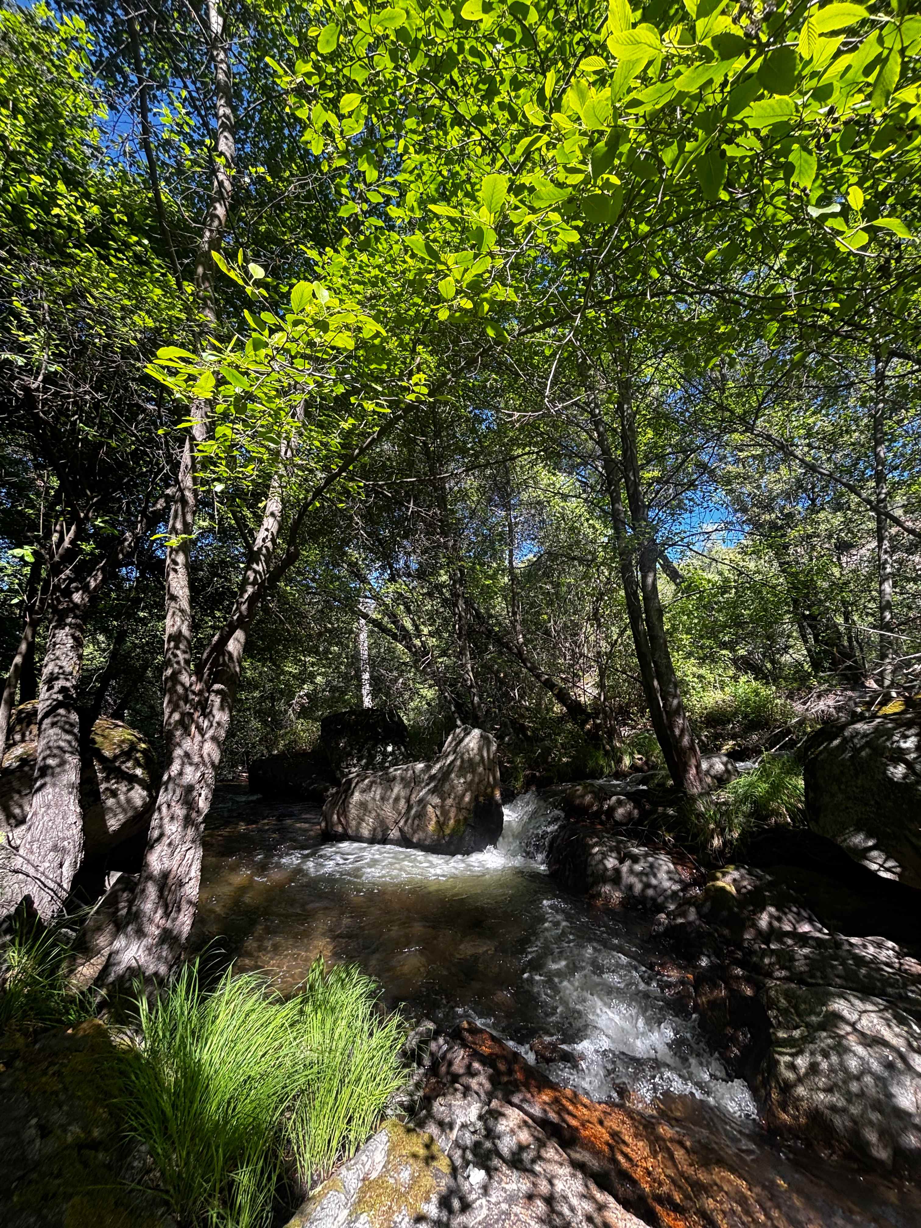 Hidden Falls Yosemite Camp