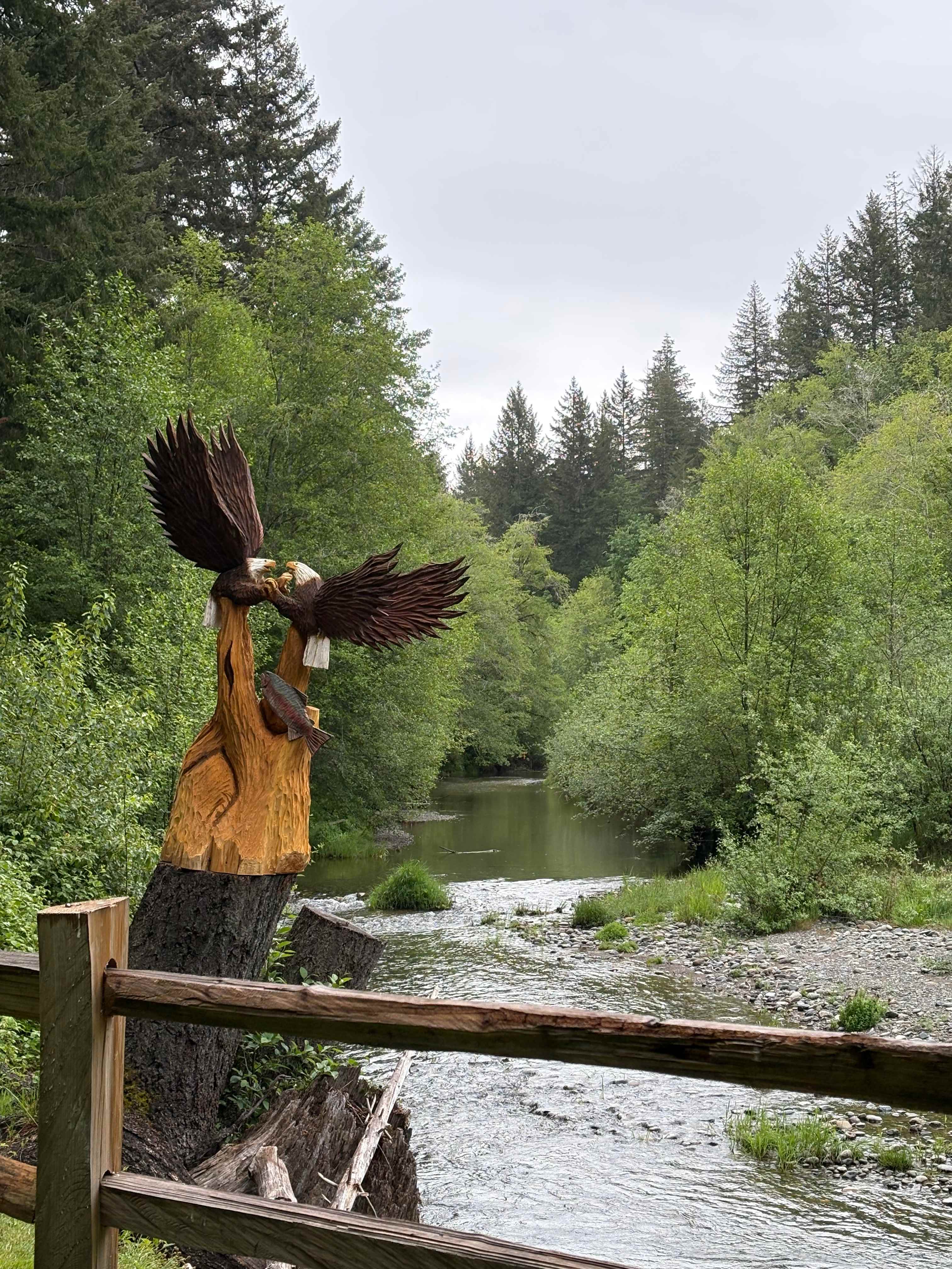 Tahuya River Lodge Campground