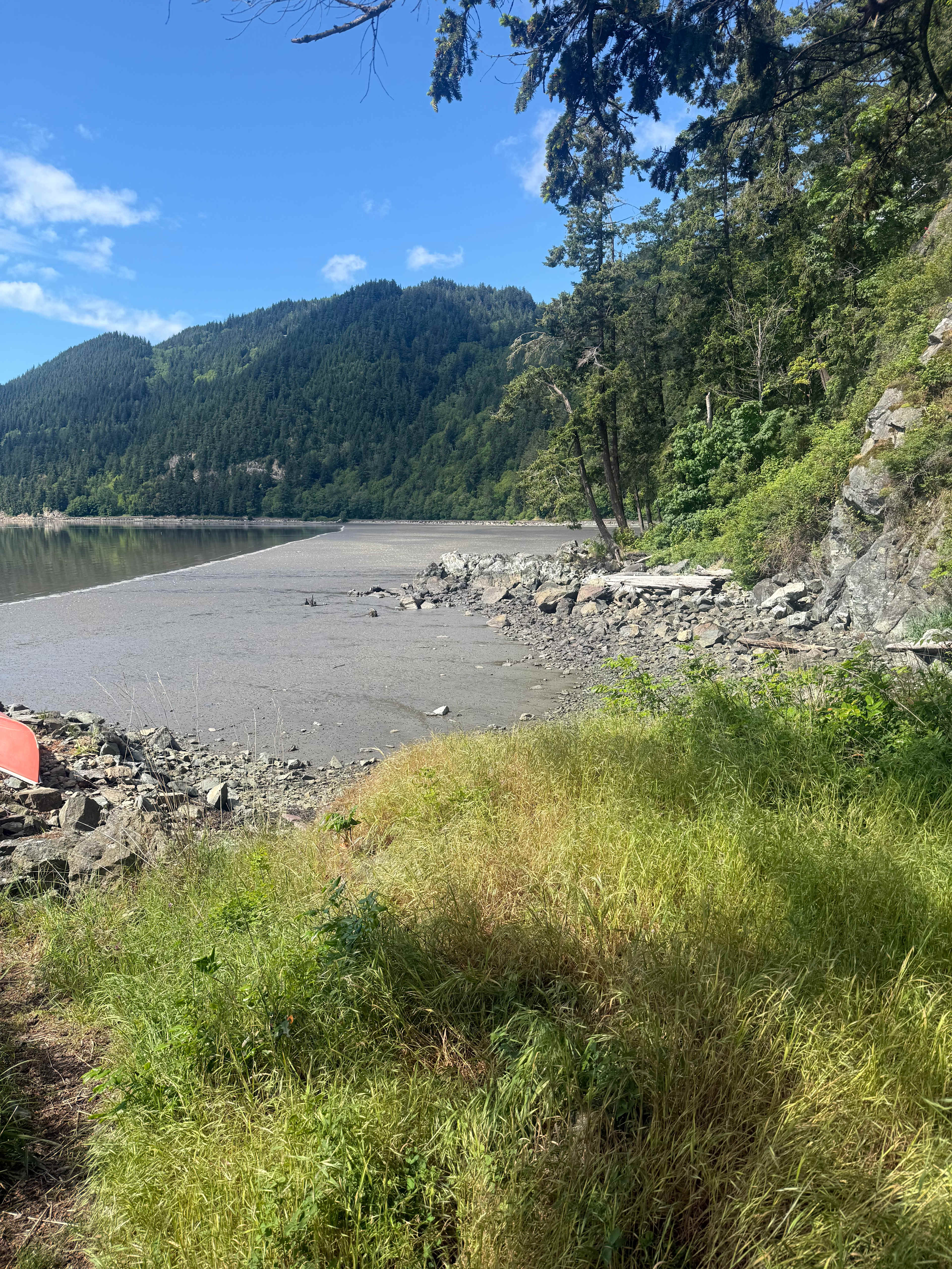 View to the North at low tide