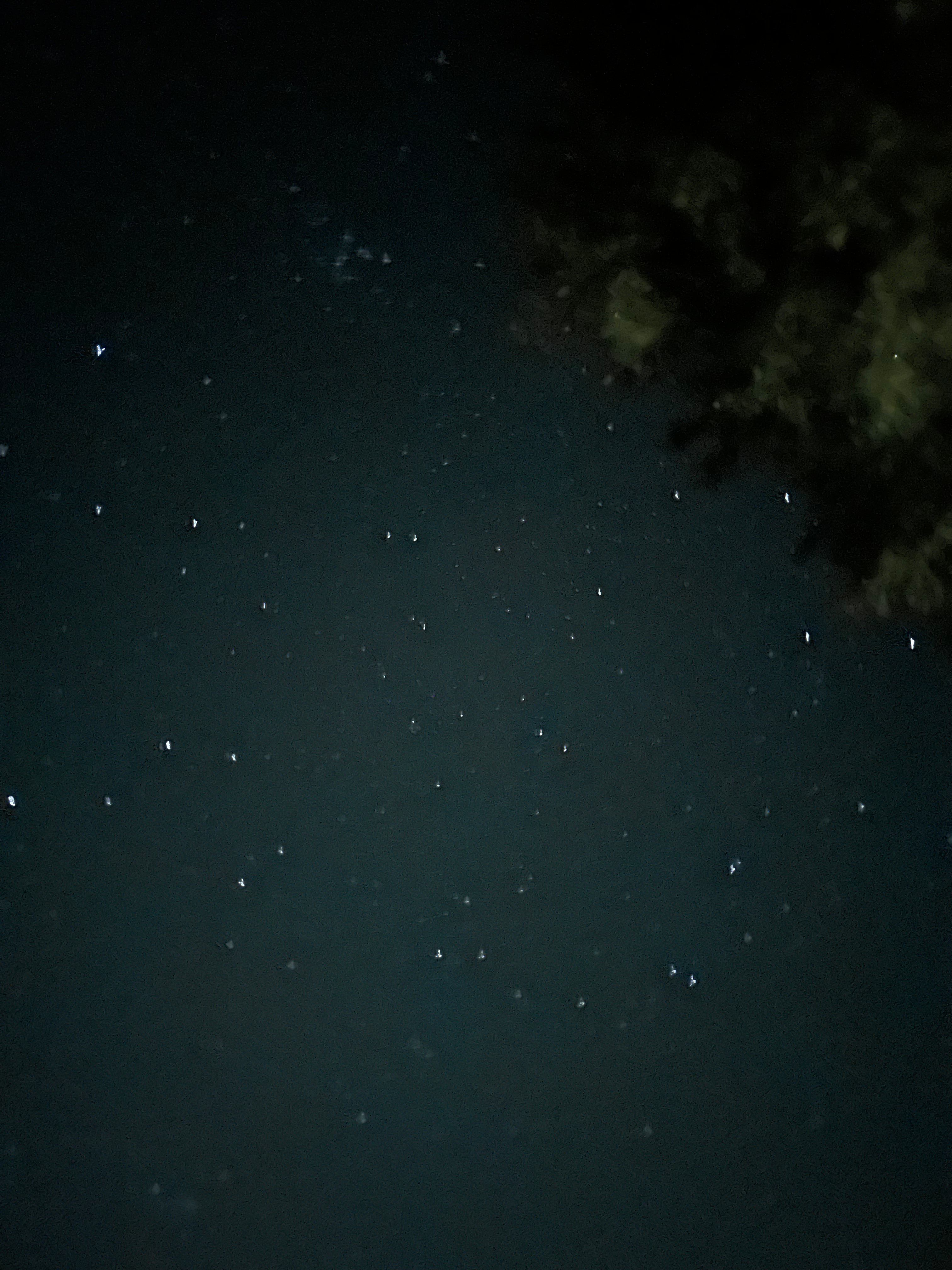 Great Stargazing!