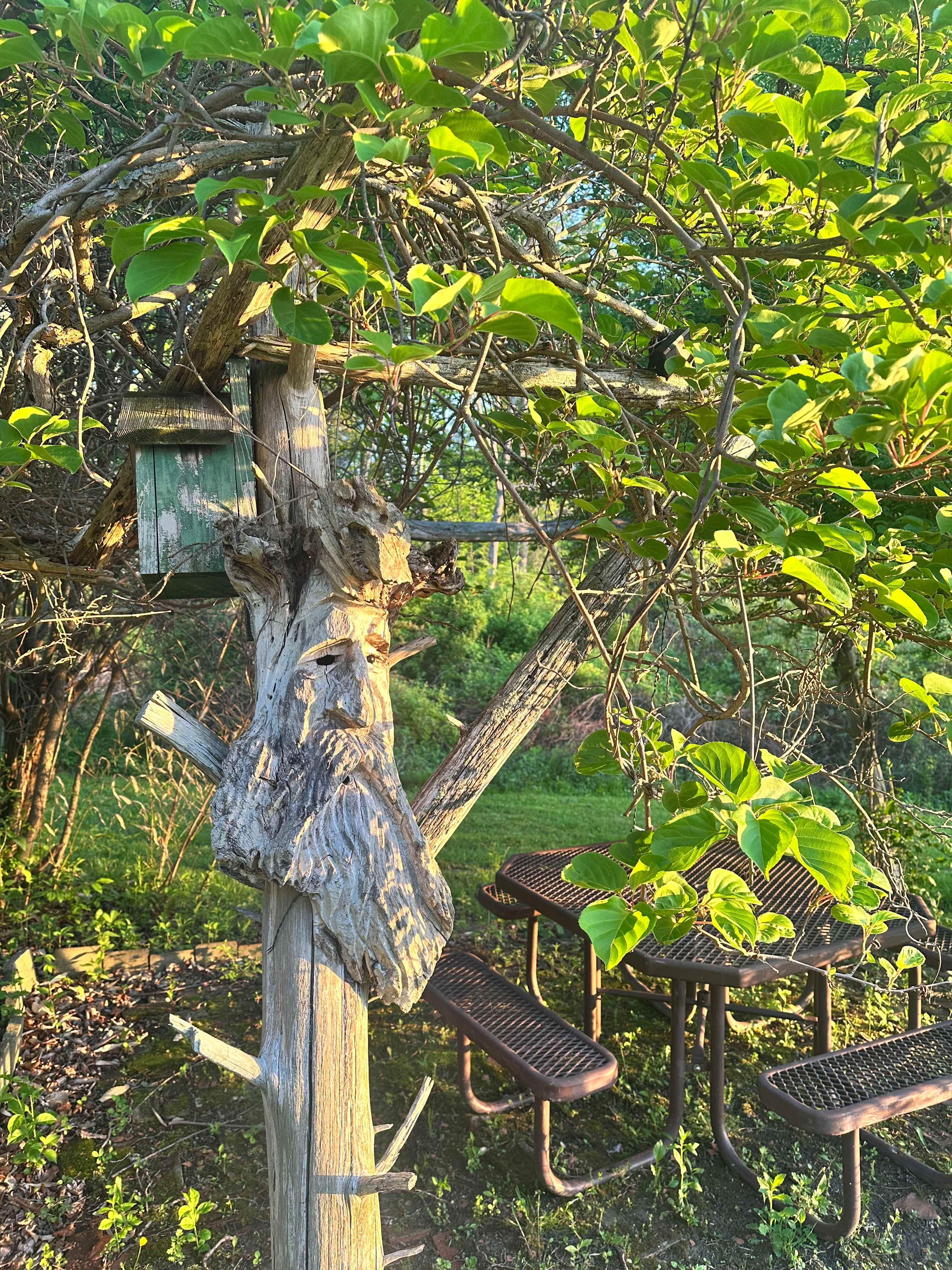 Mickelberry Forest Gardens