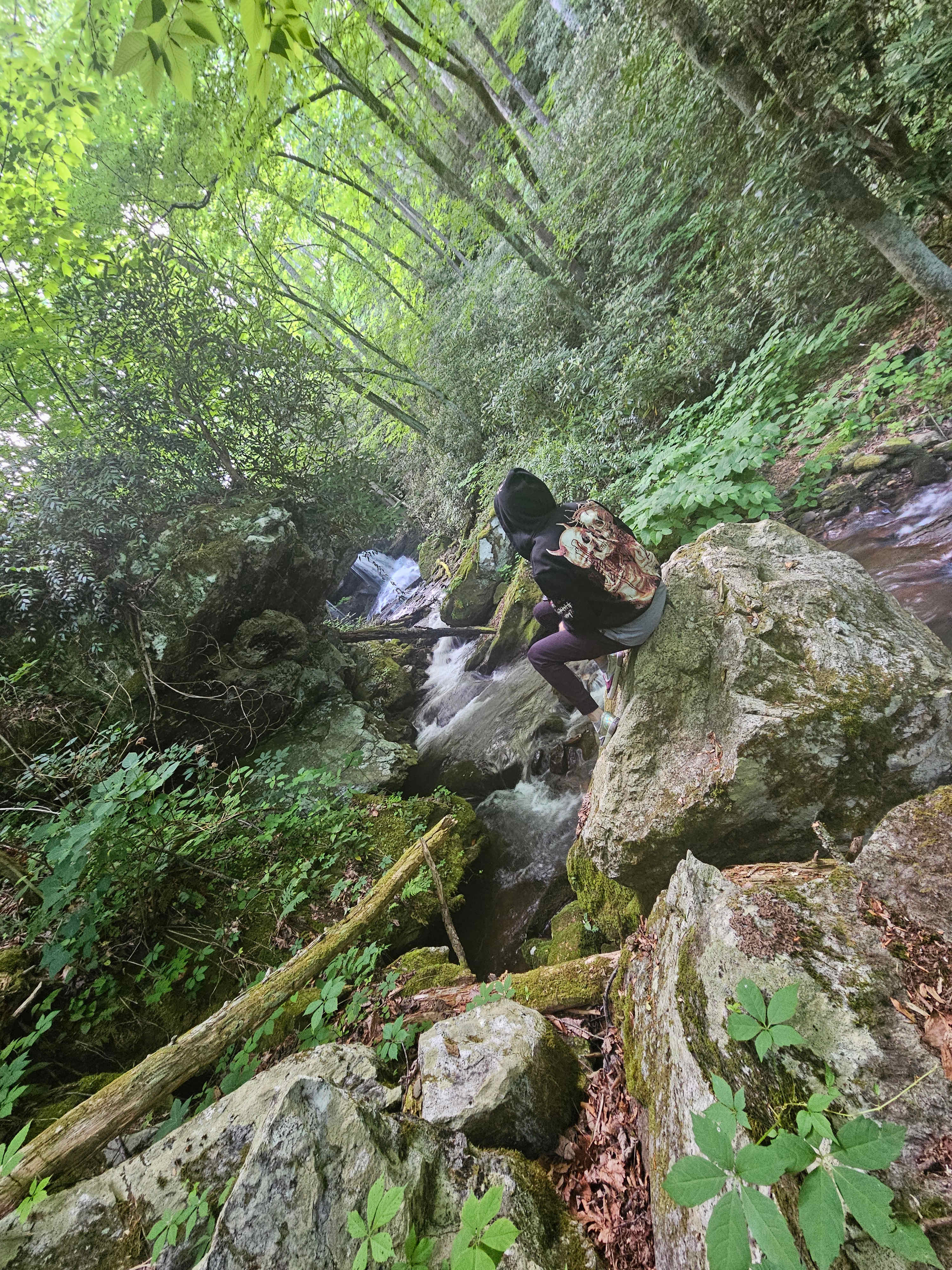 Waterfall wifey