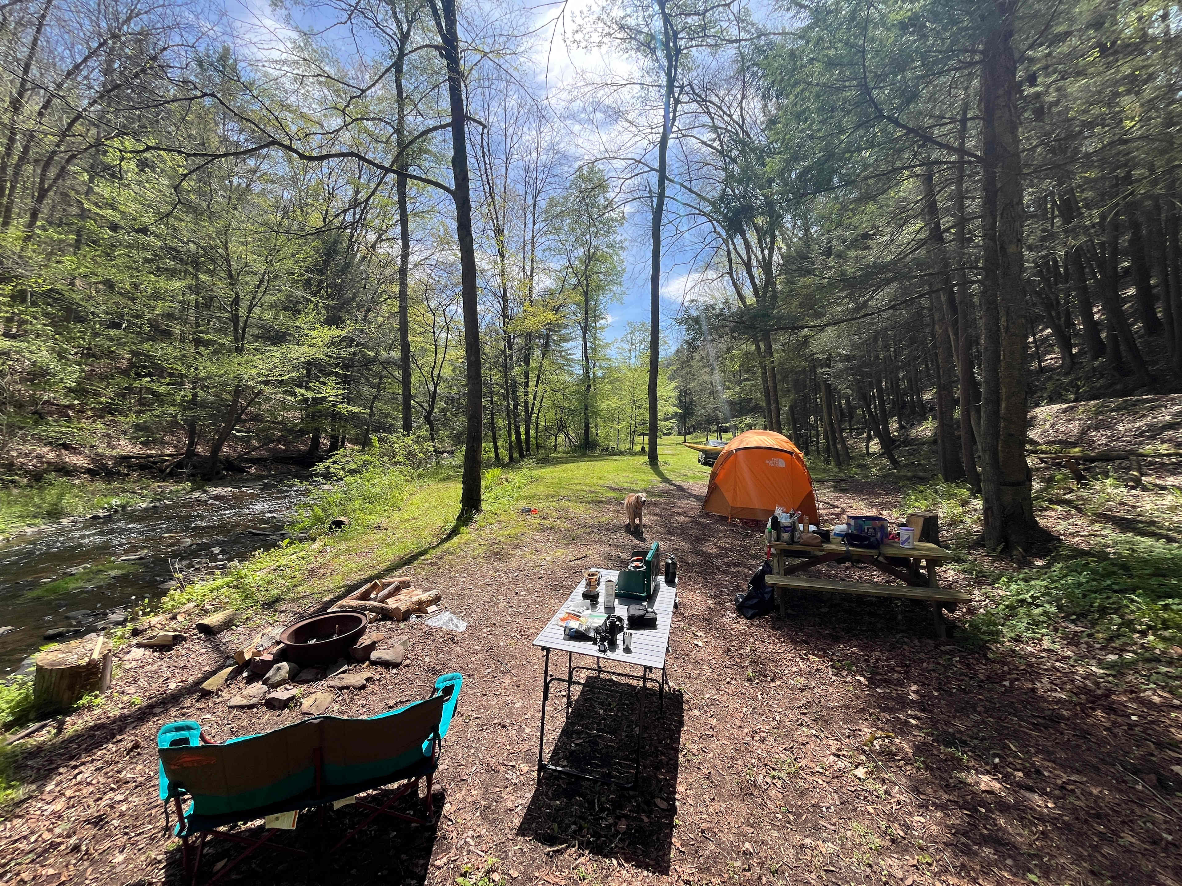 Towner's Country Paradise