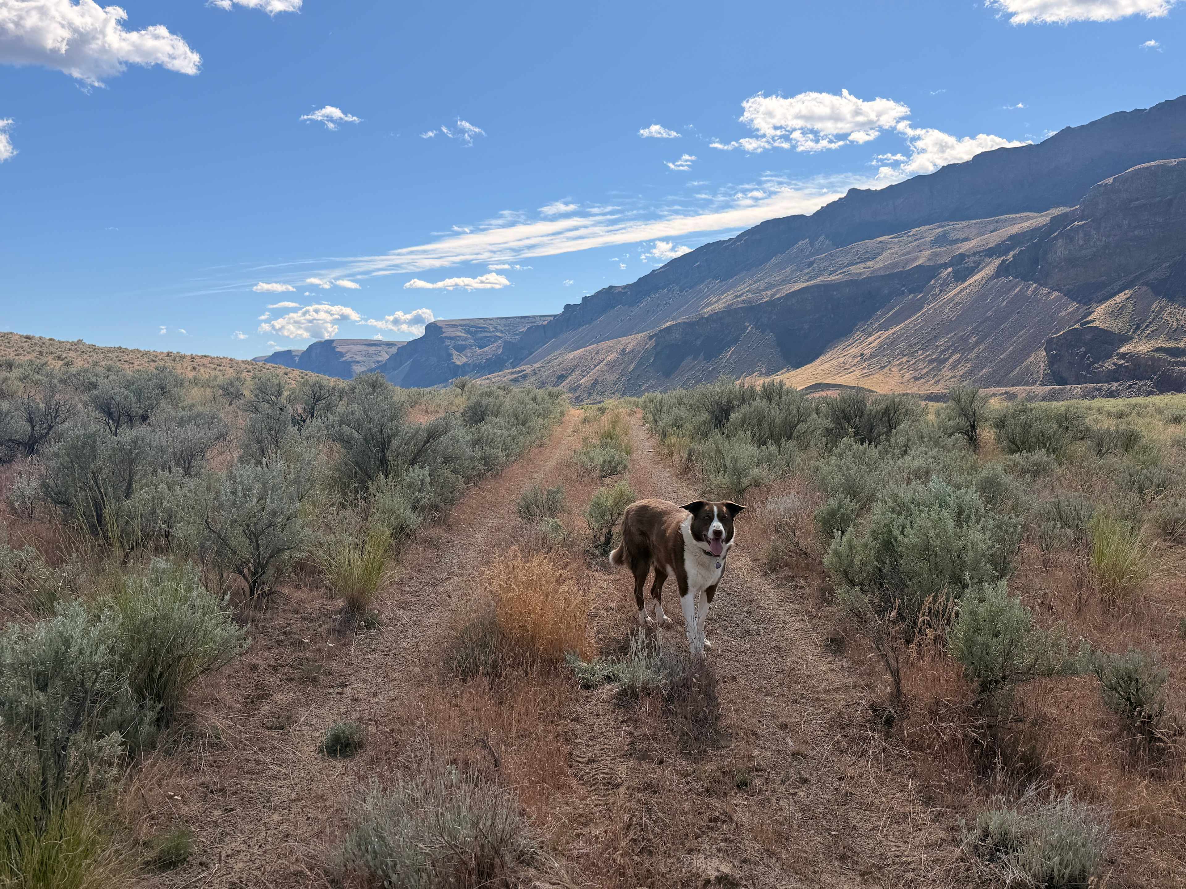 Picture of the site