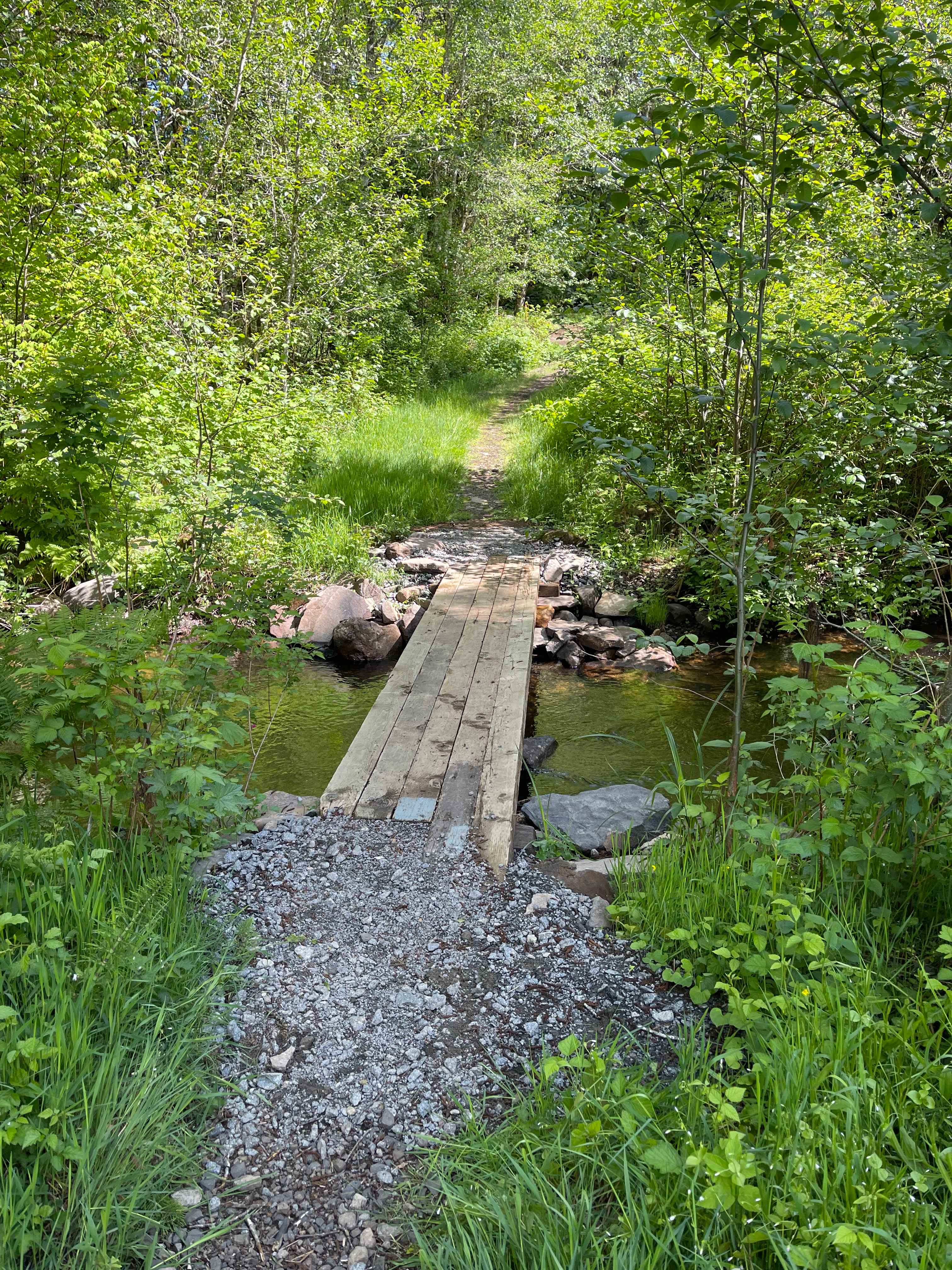 The Falls at Elk Prairie