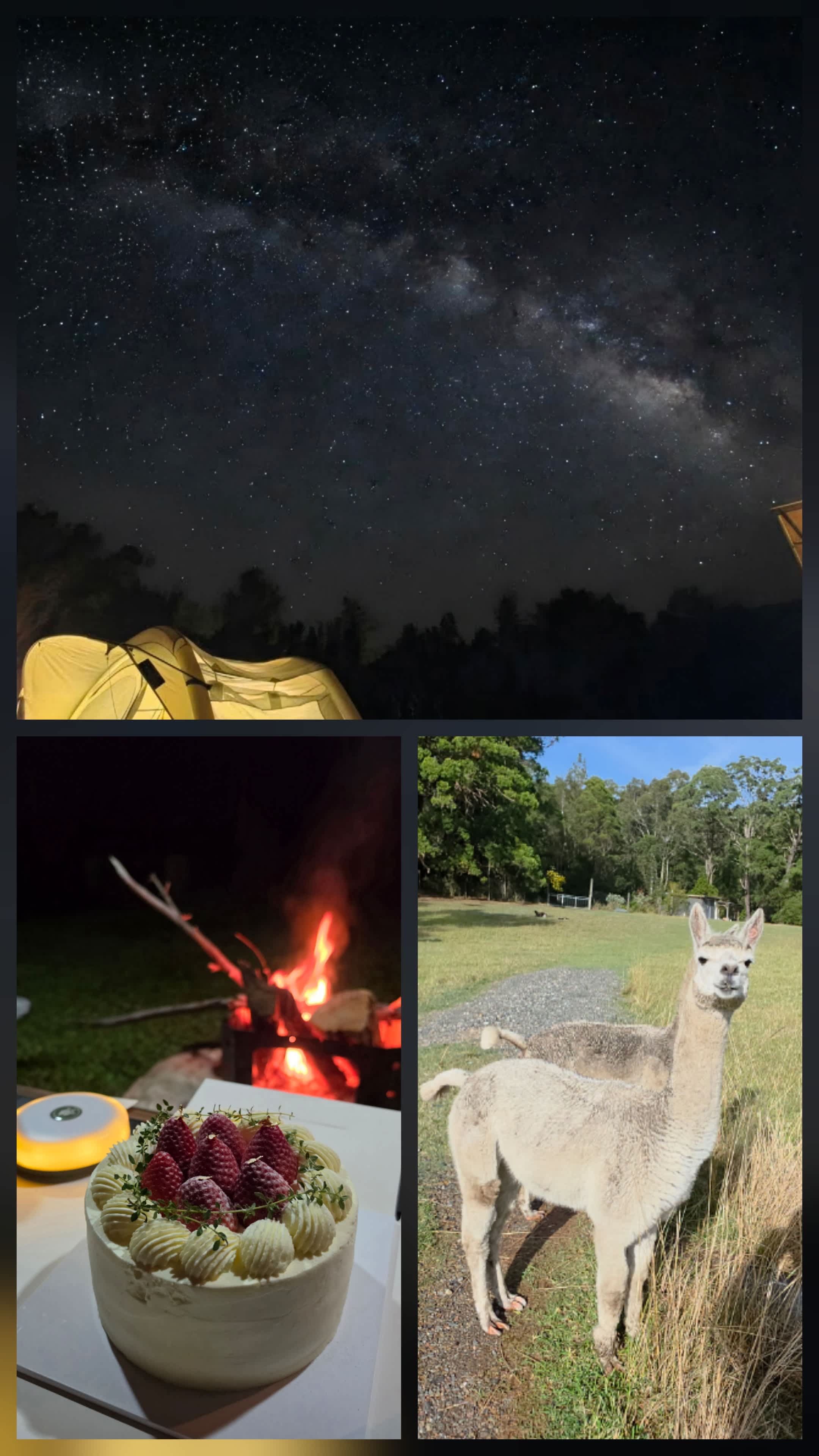Diamond Park Campsite