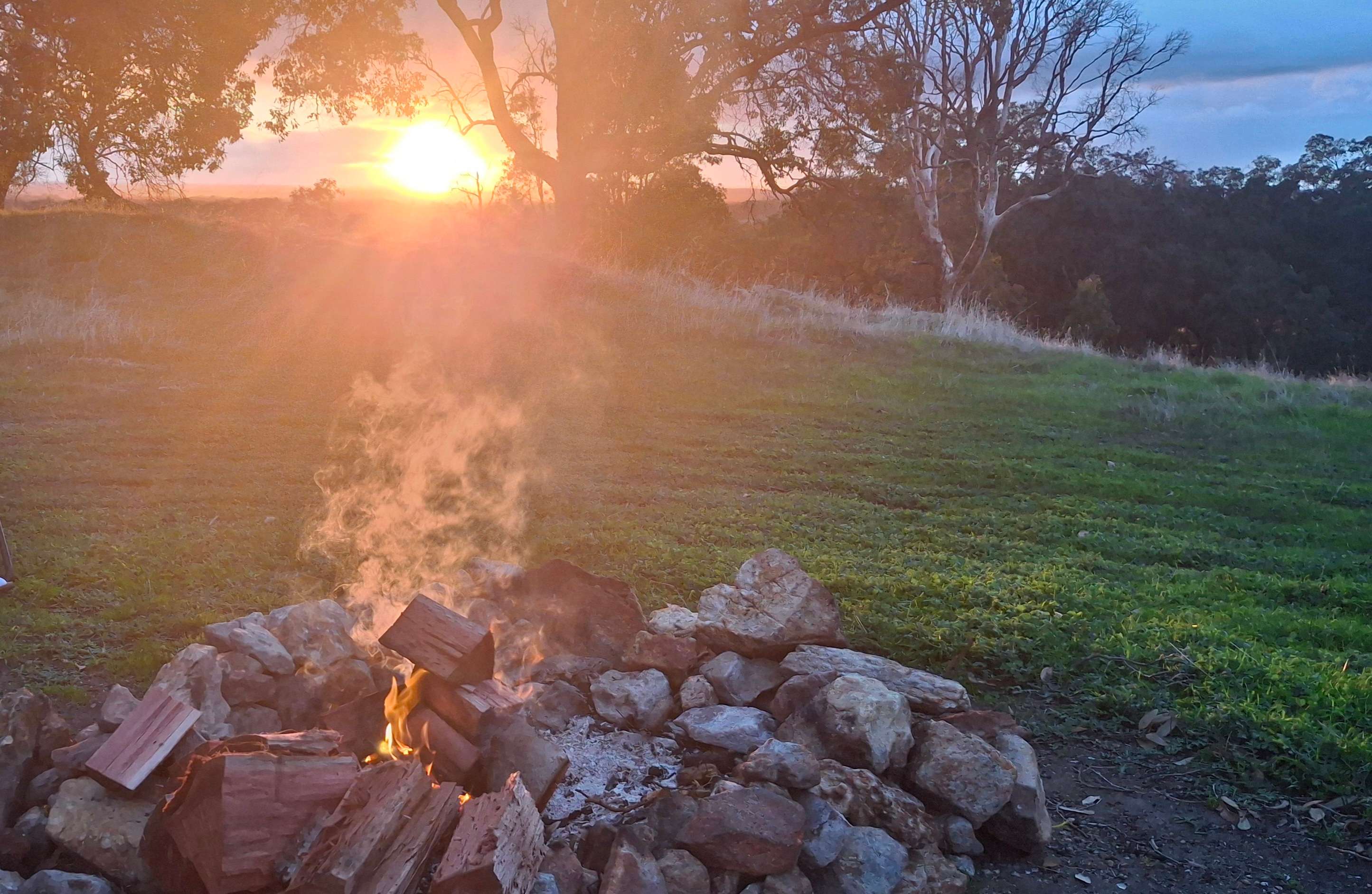 Jacaranda Hill Farm