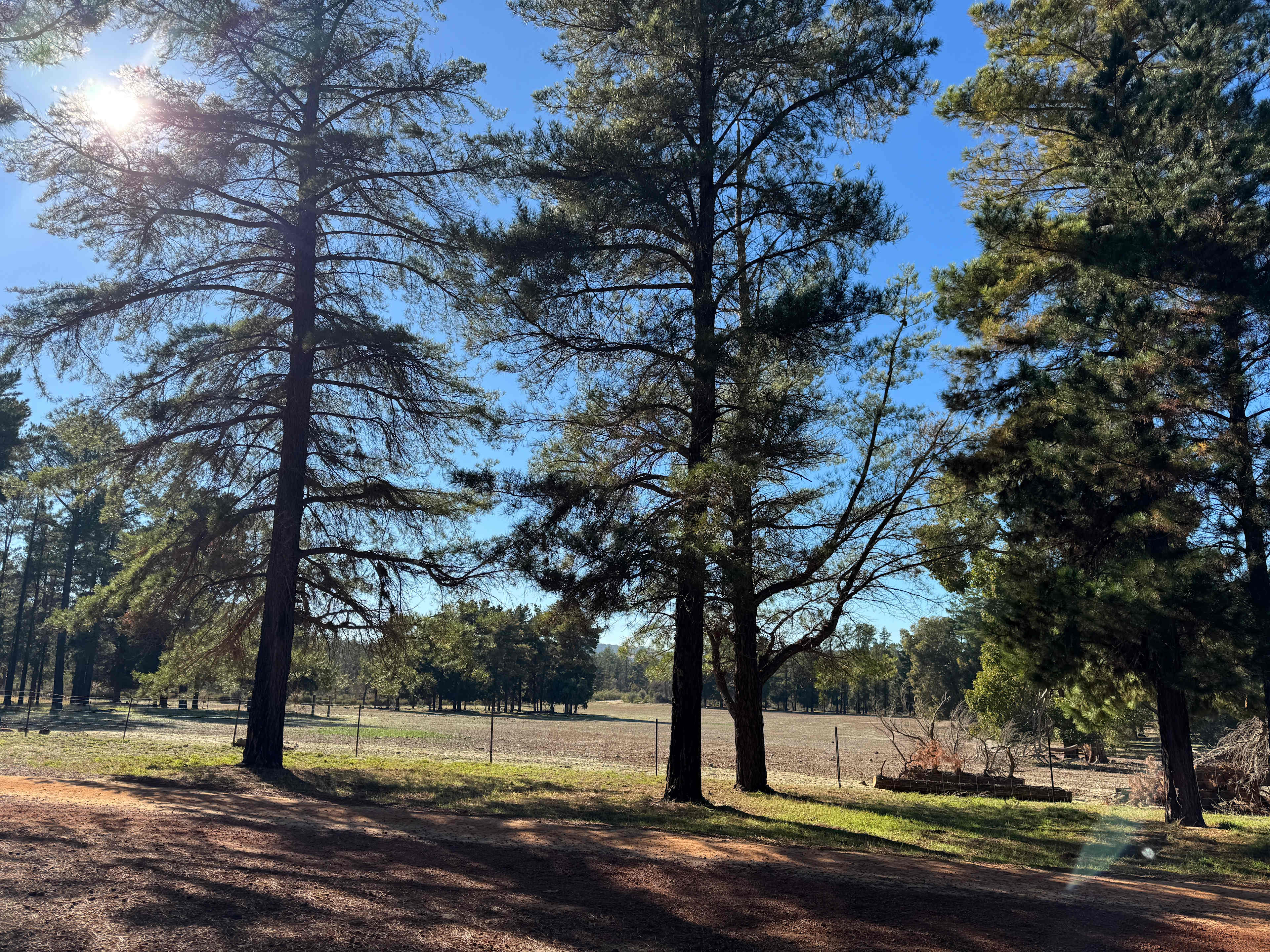 View from site 5