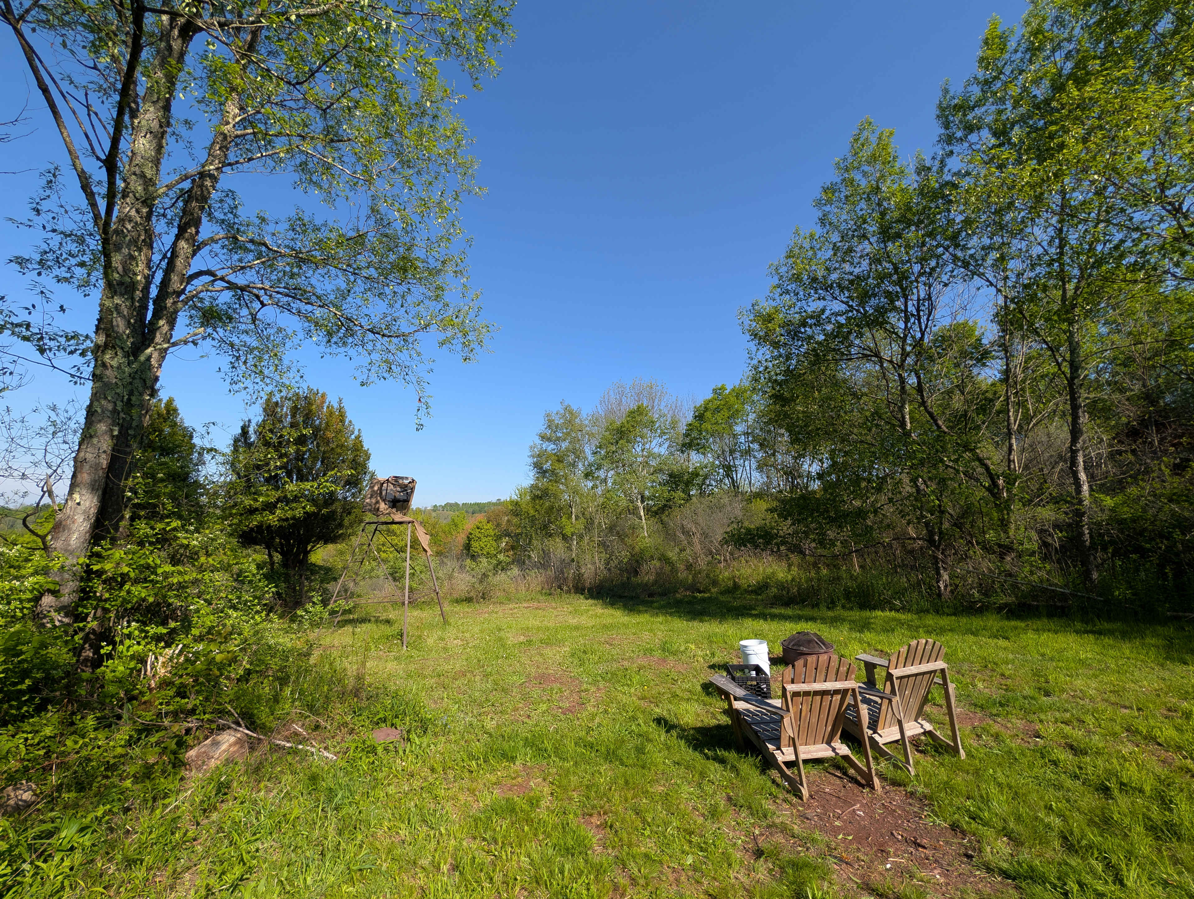 Top of the hill