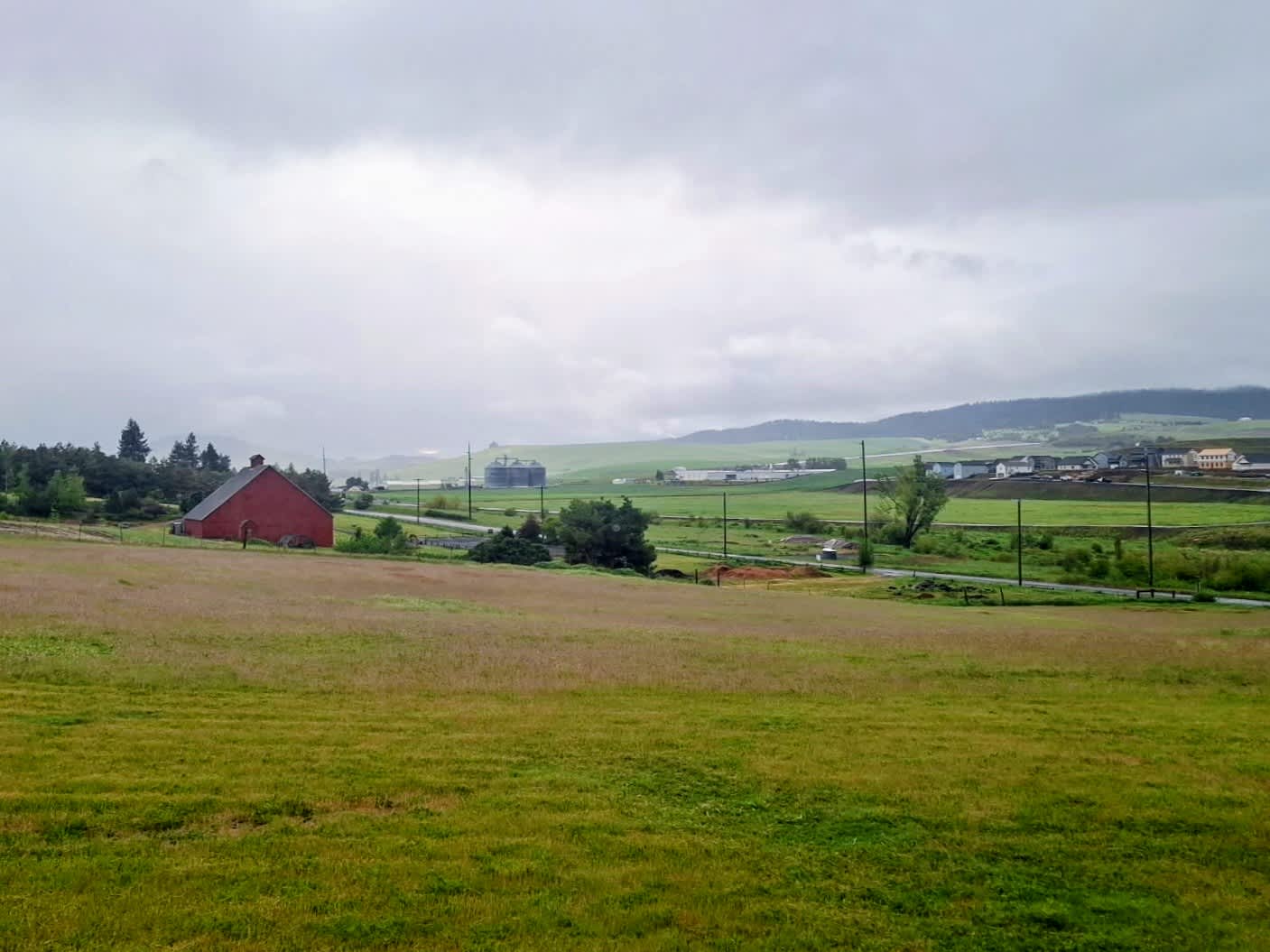 Triple Tree Ranch