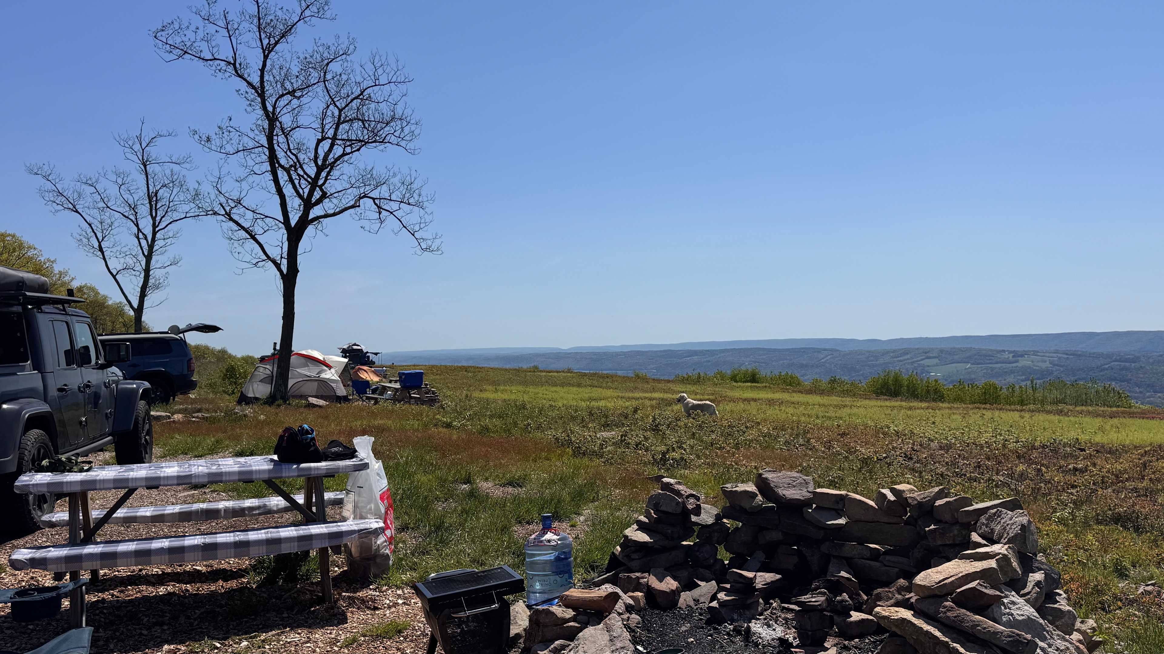 Picture of the site