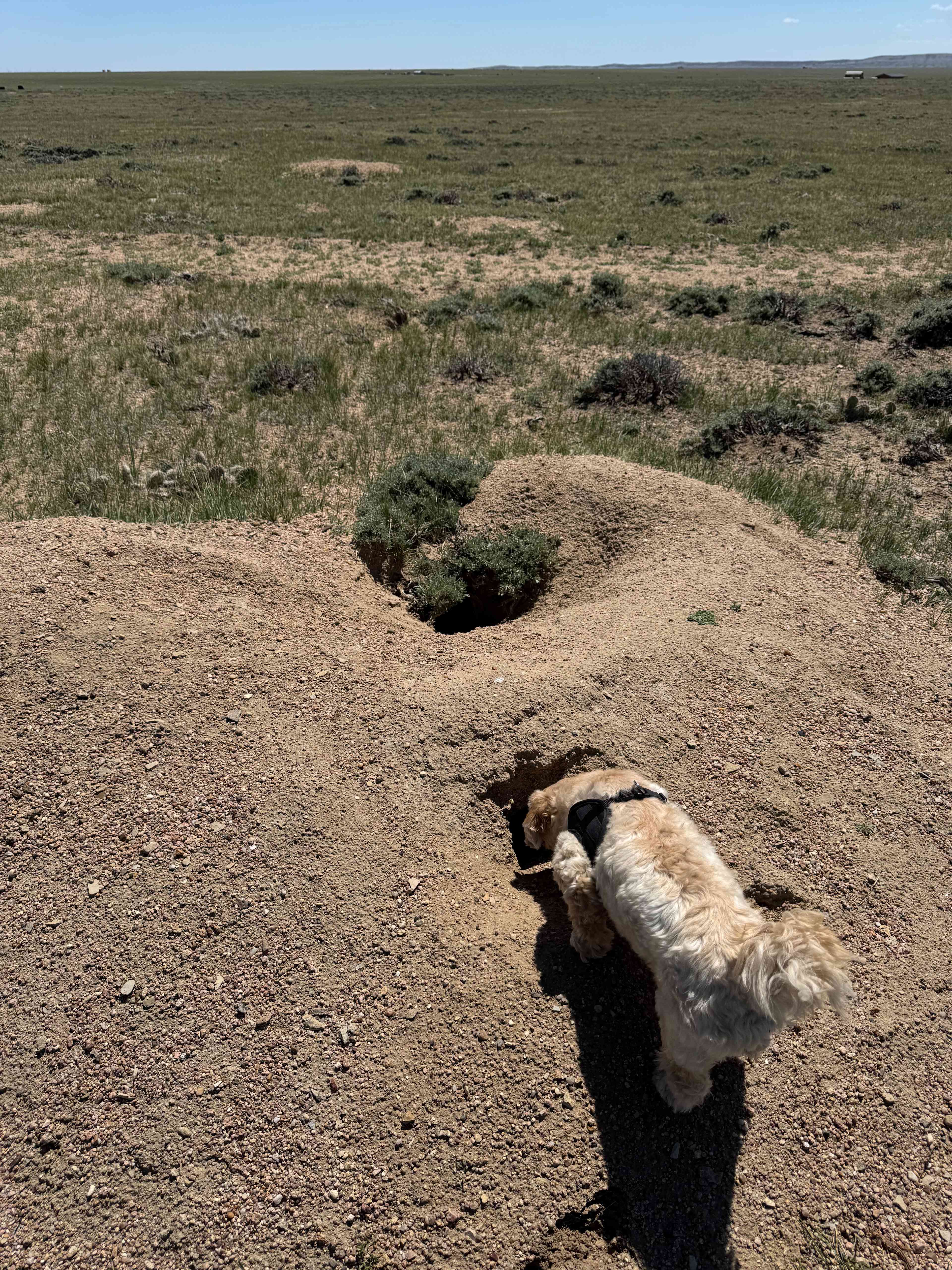 Exploring
