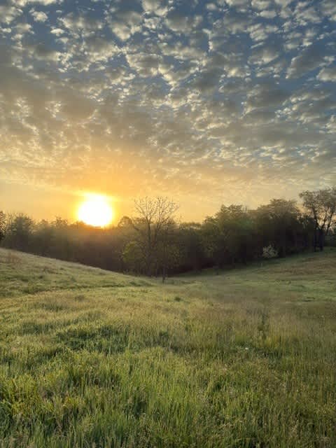 Sunrise over the river