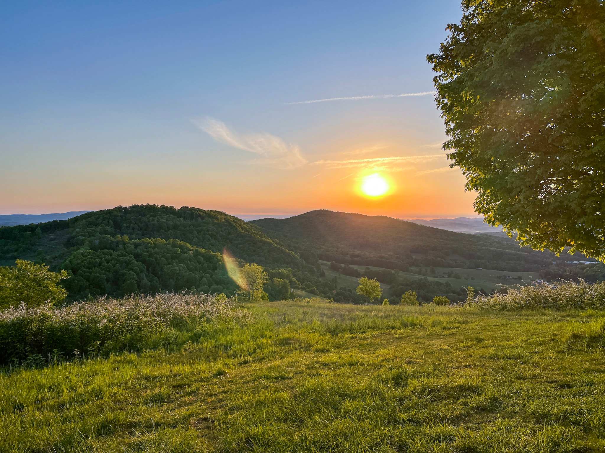 Sunrise from Site 1