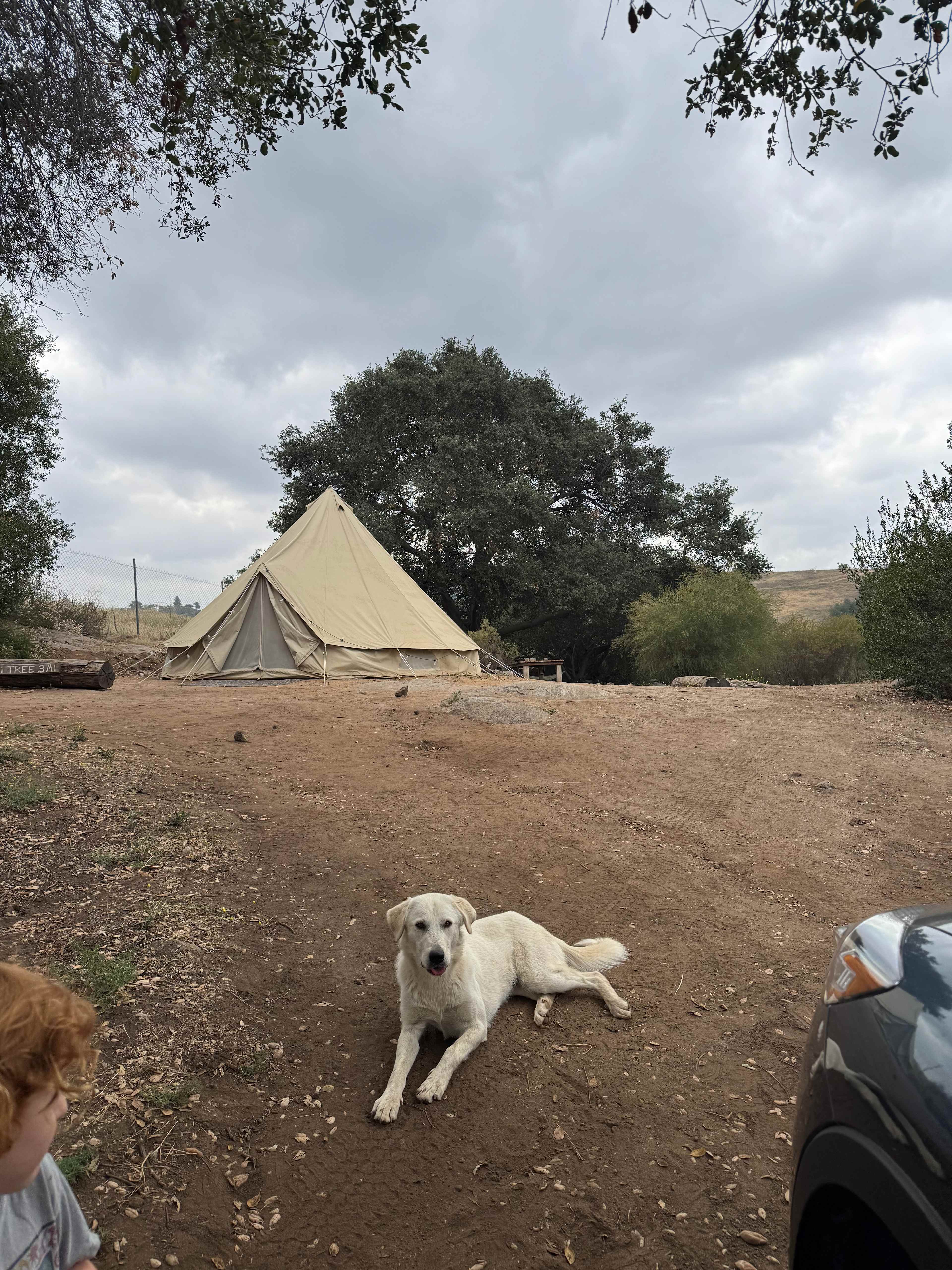 Thundering Hawk Retreat