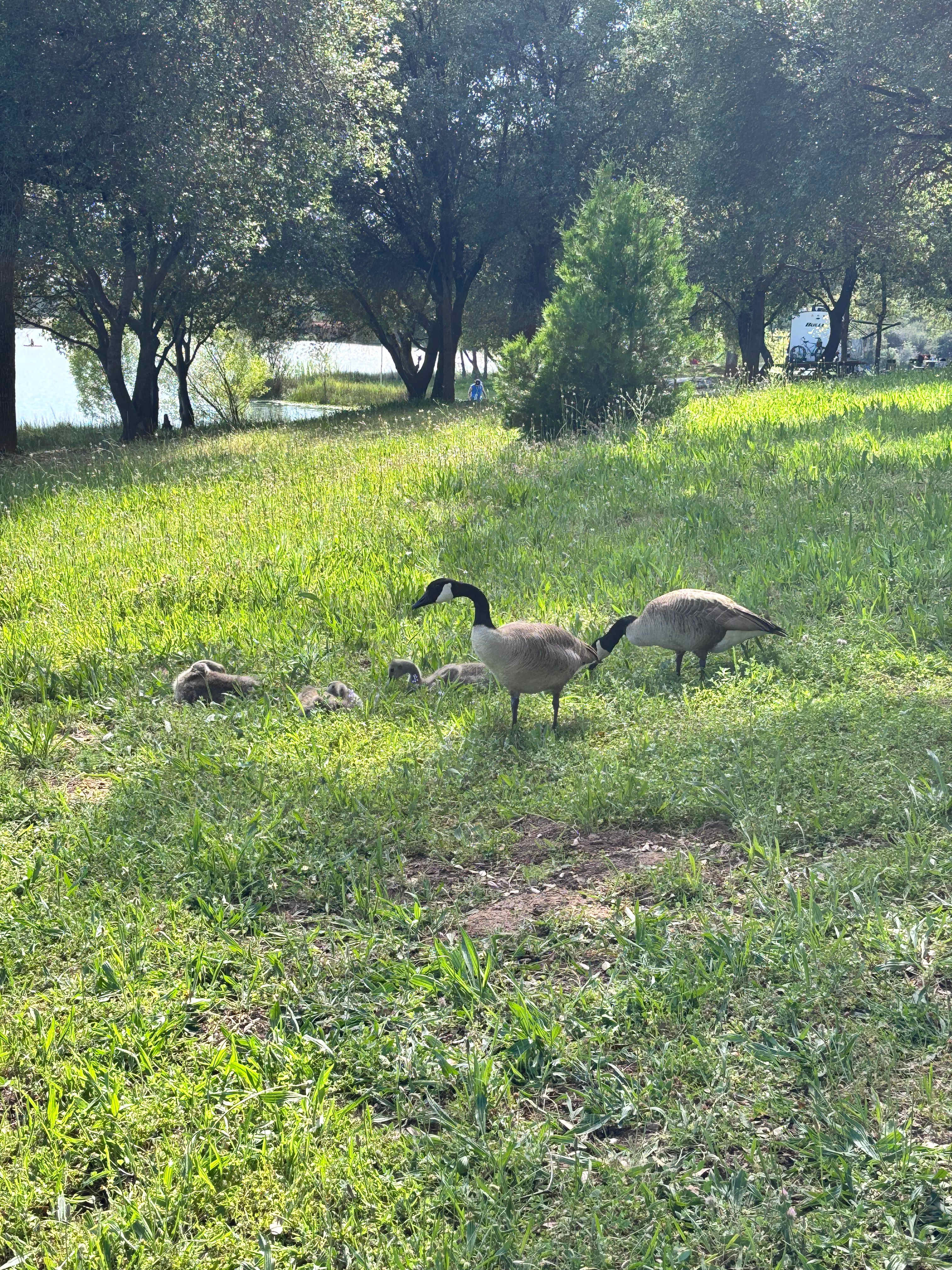 Finnon Lake Recreation Area