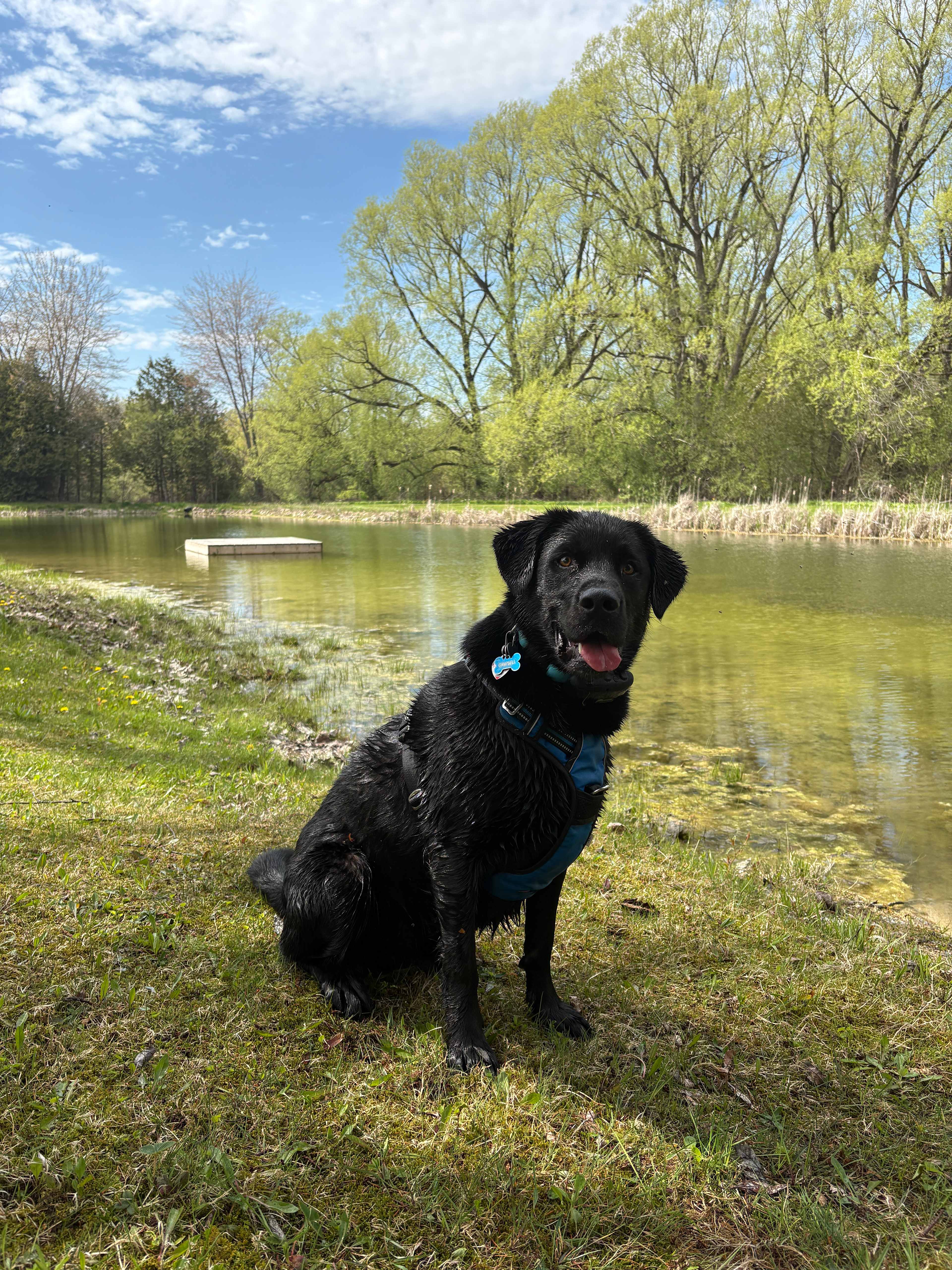 Hidden Oasis Near Elora