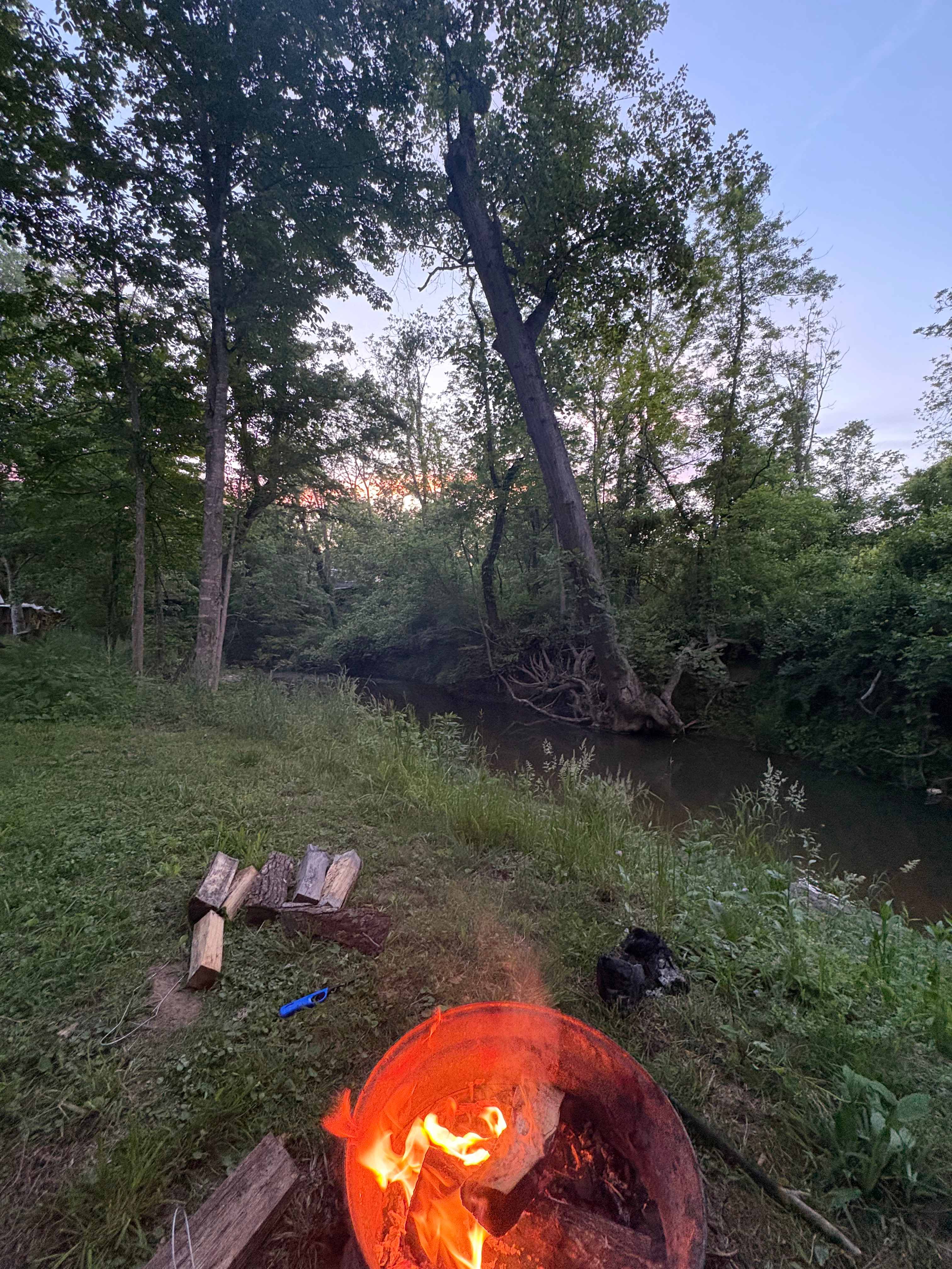 Trout Lily Creekside Camp