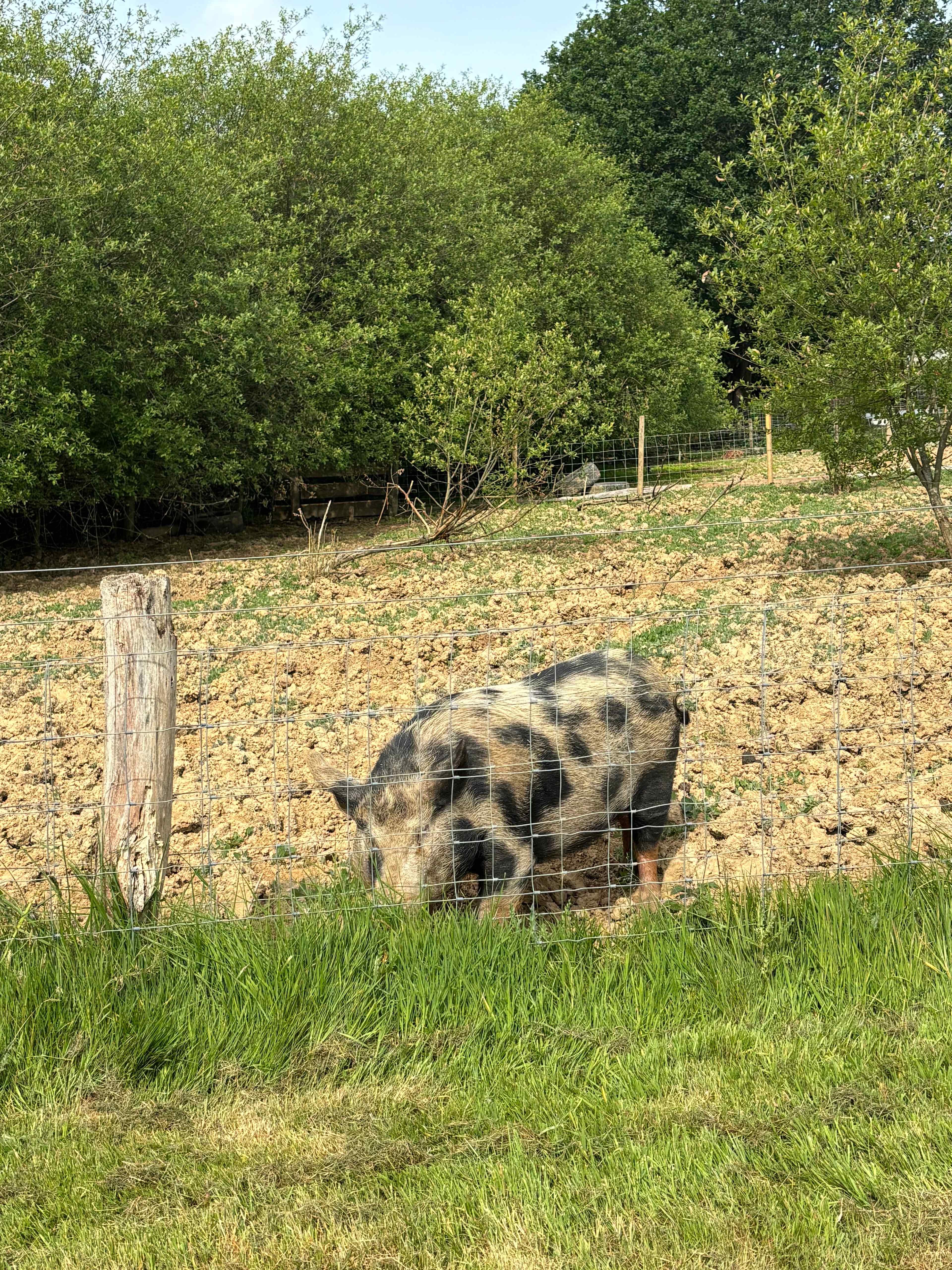 Hale Farm