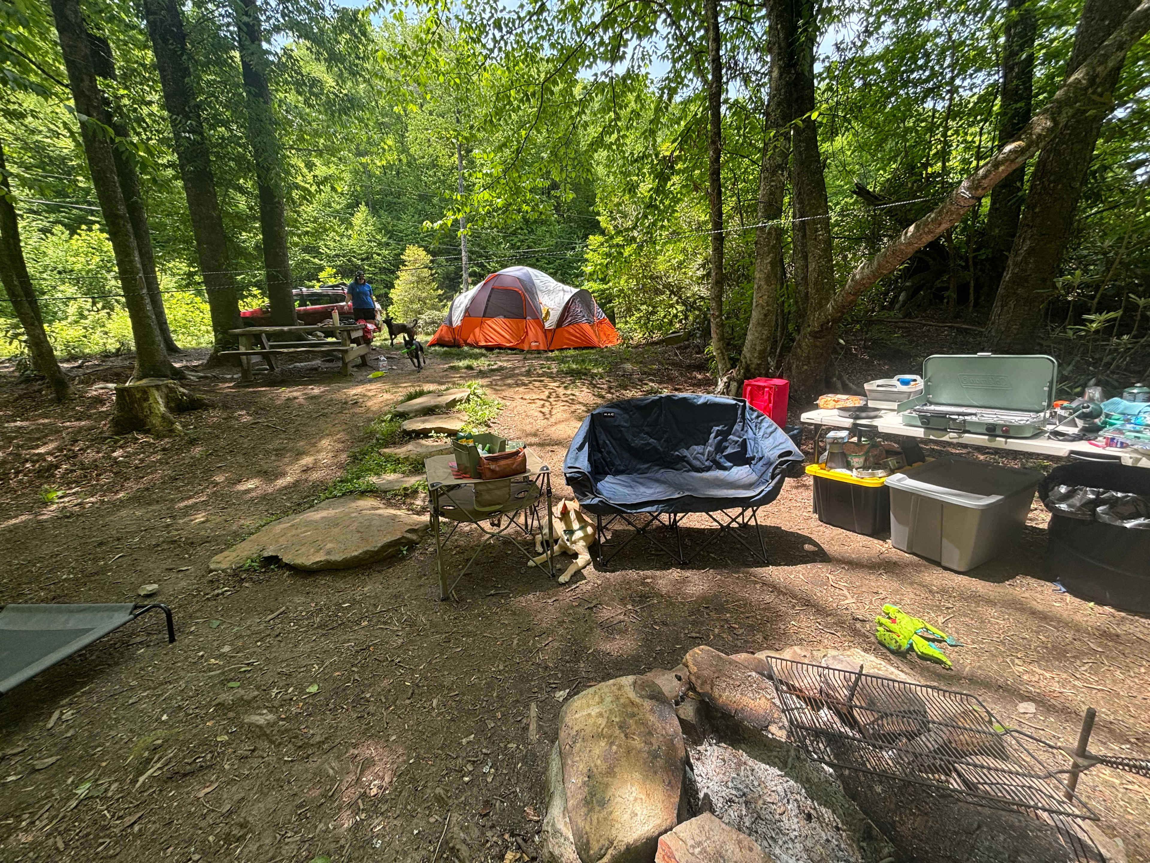large spacious campsite 