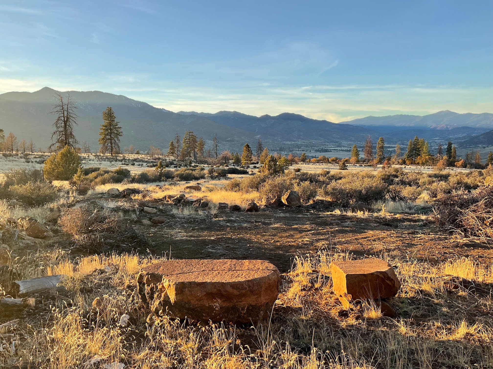 Picture of the site