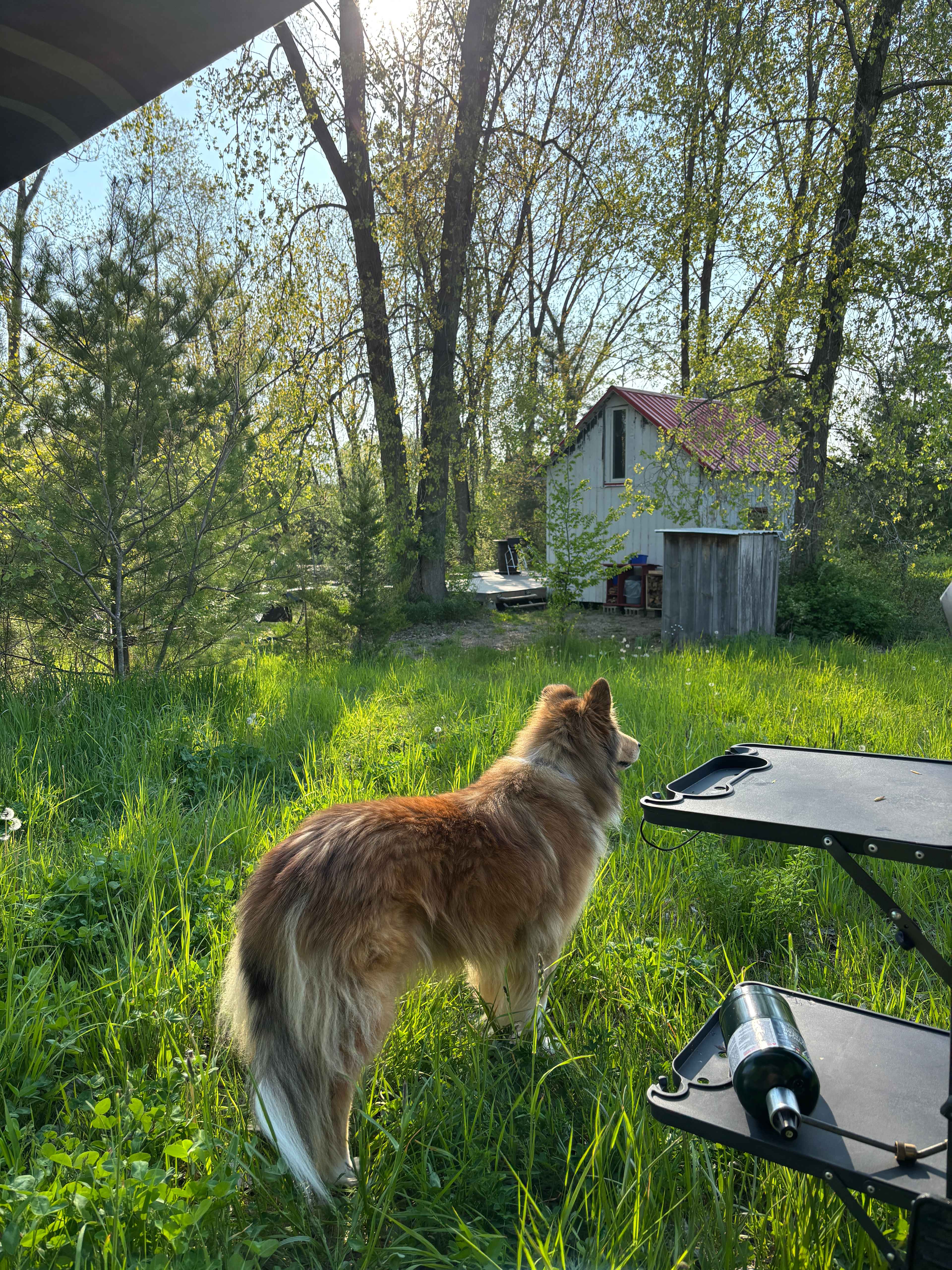 Chris's Place