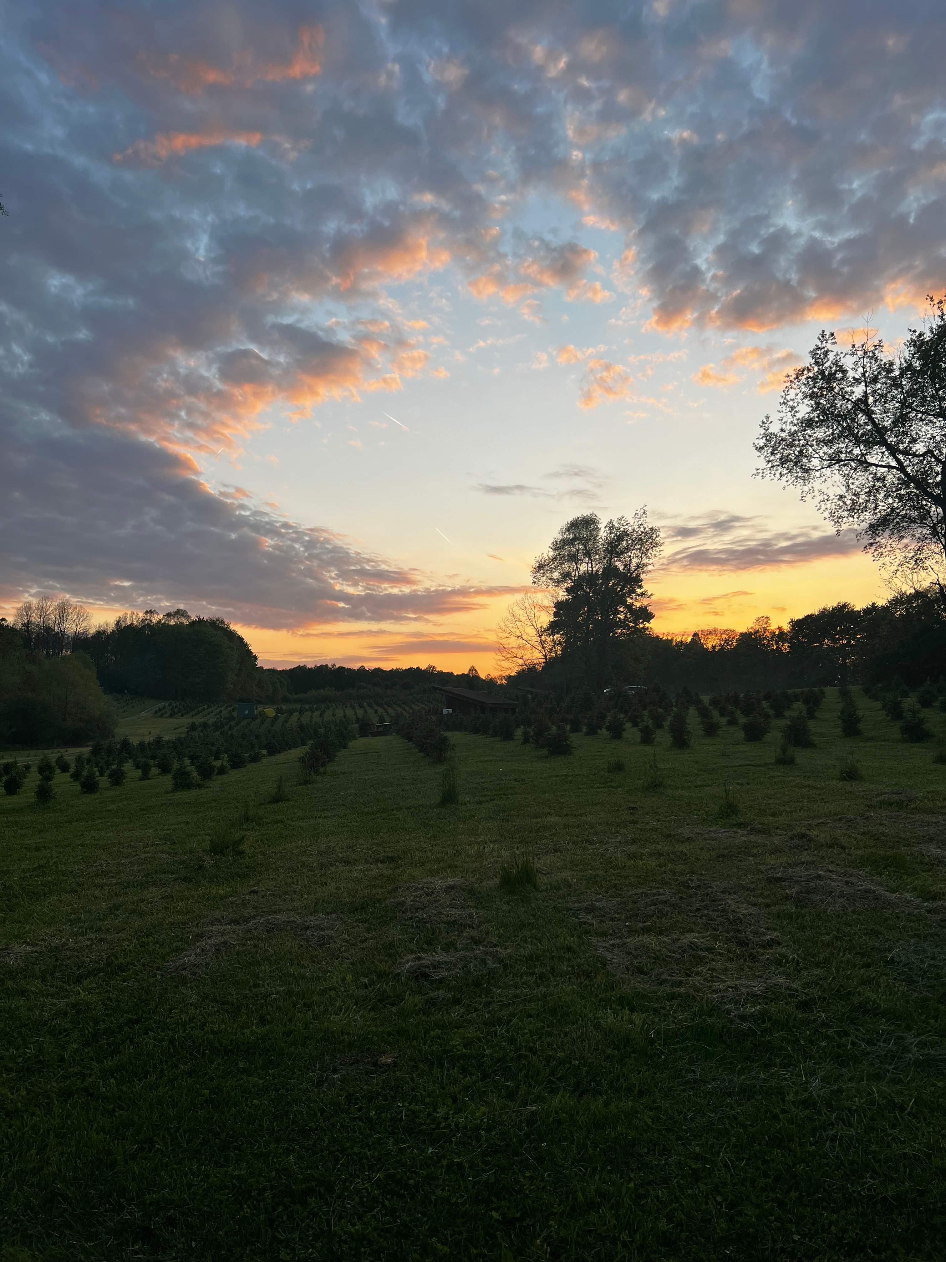 Camping at Heritage Farms
