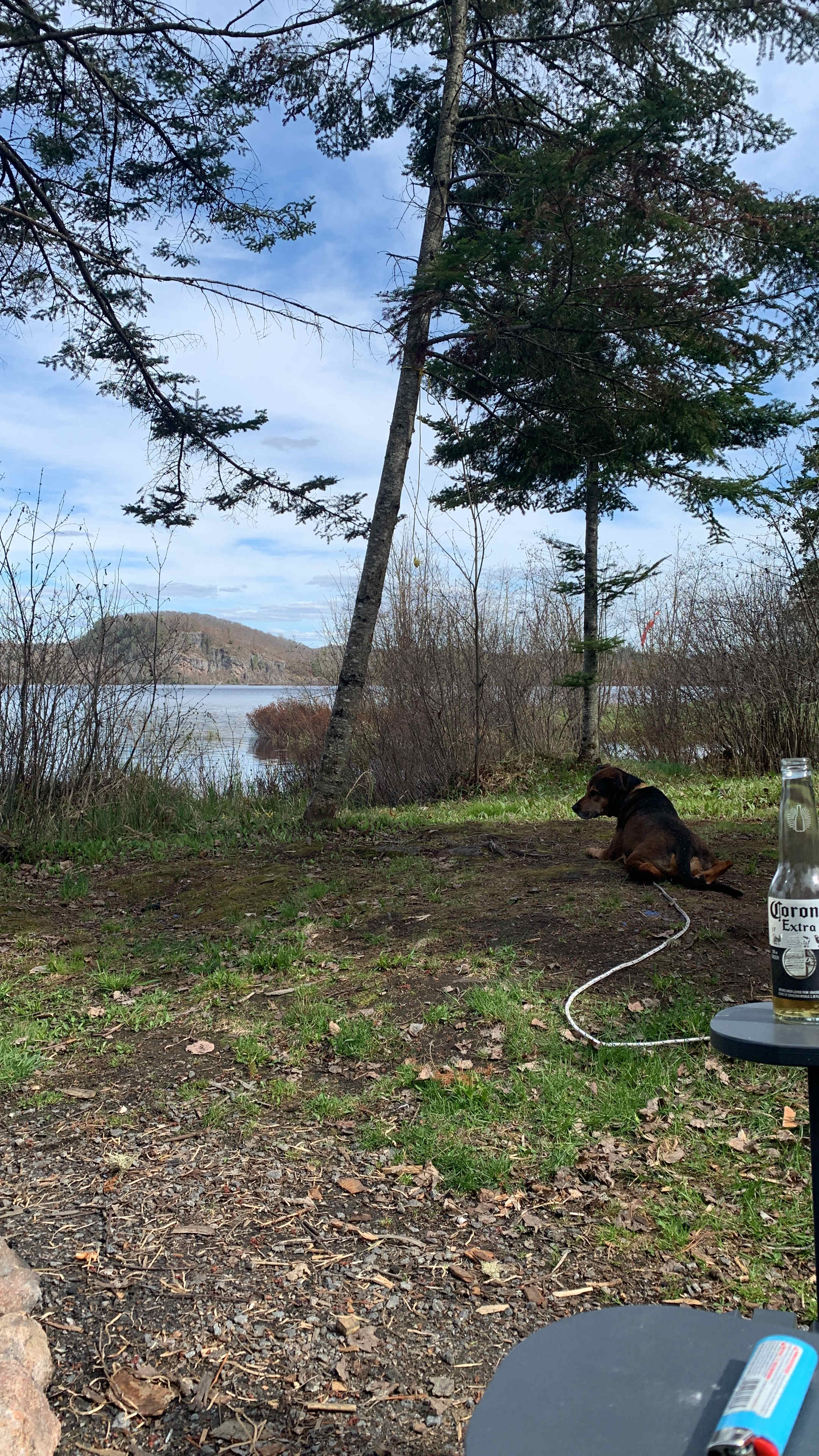Moose and Musky