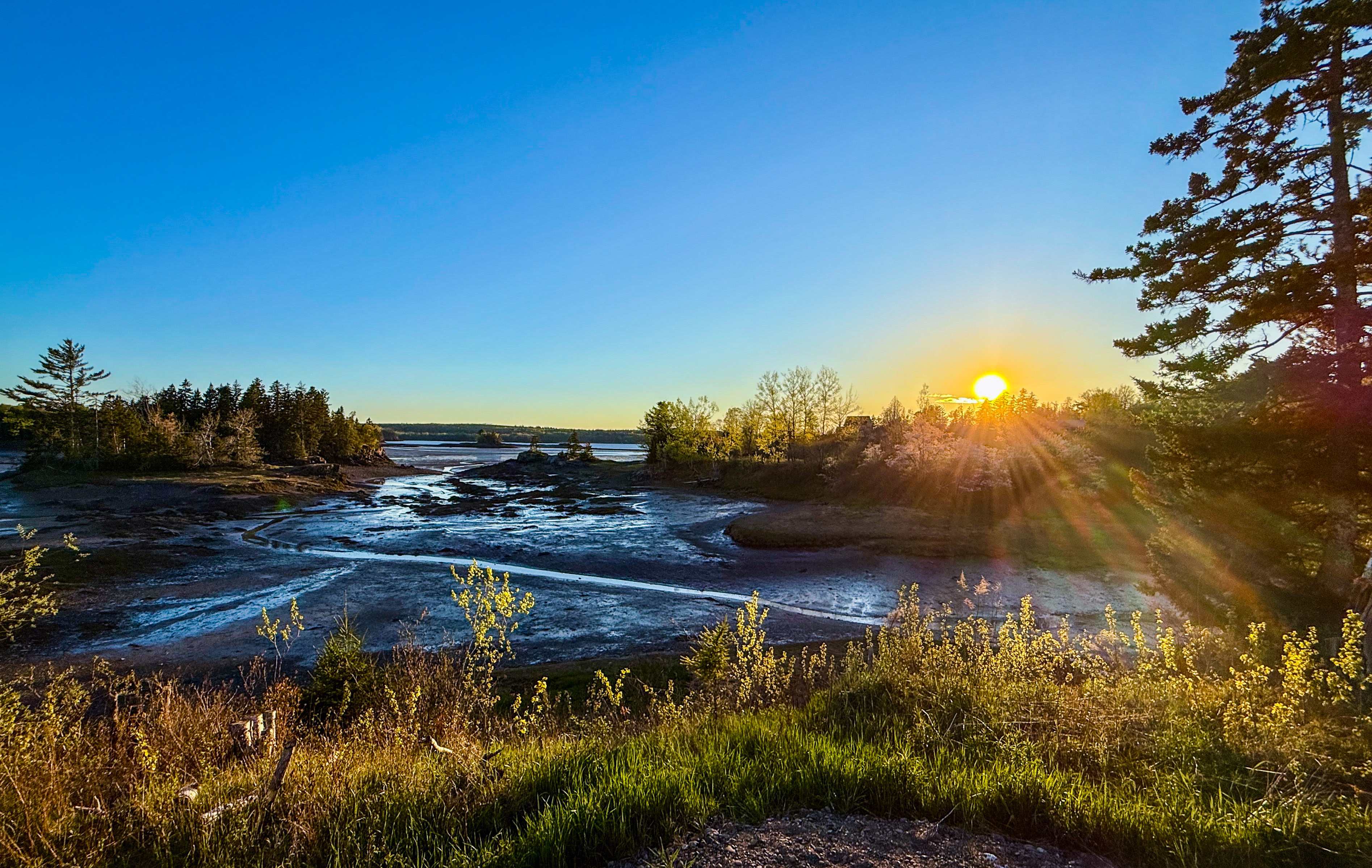 Mouth of the Magaguadavic Camping