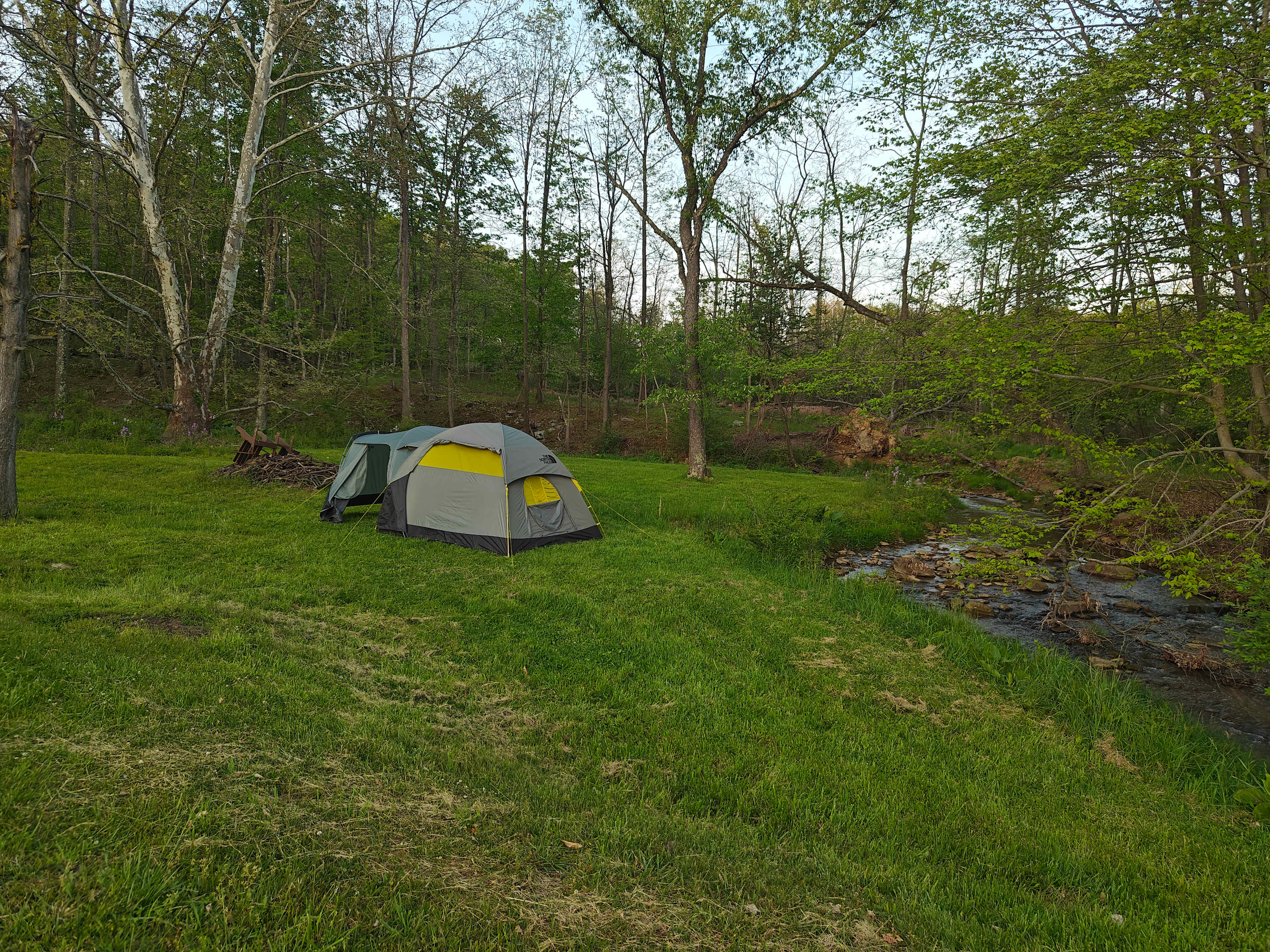 Burnhead Grazings