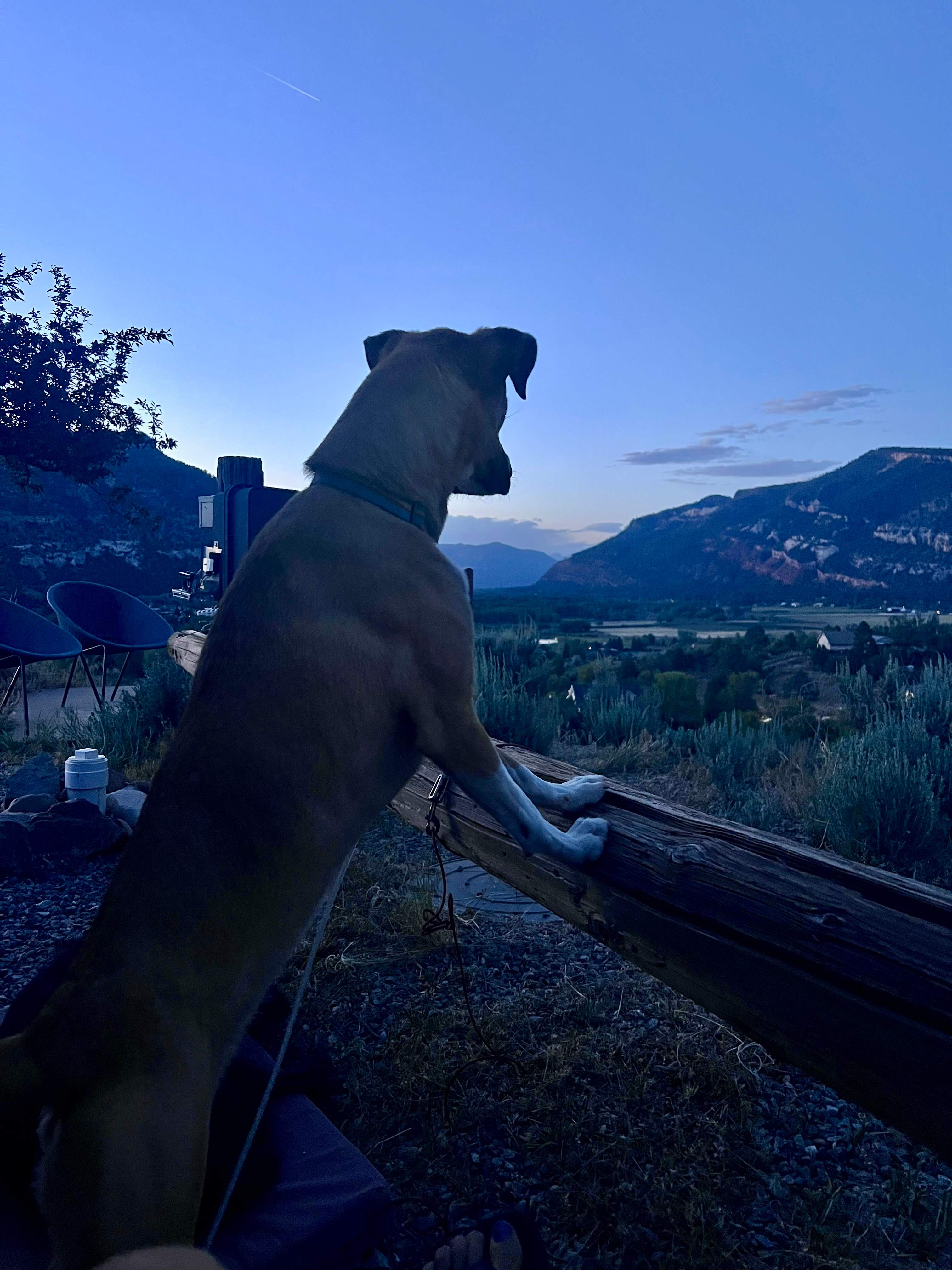 Views For Days! In Town Durango