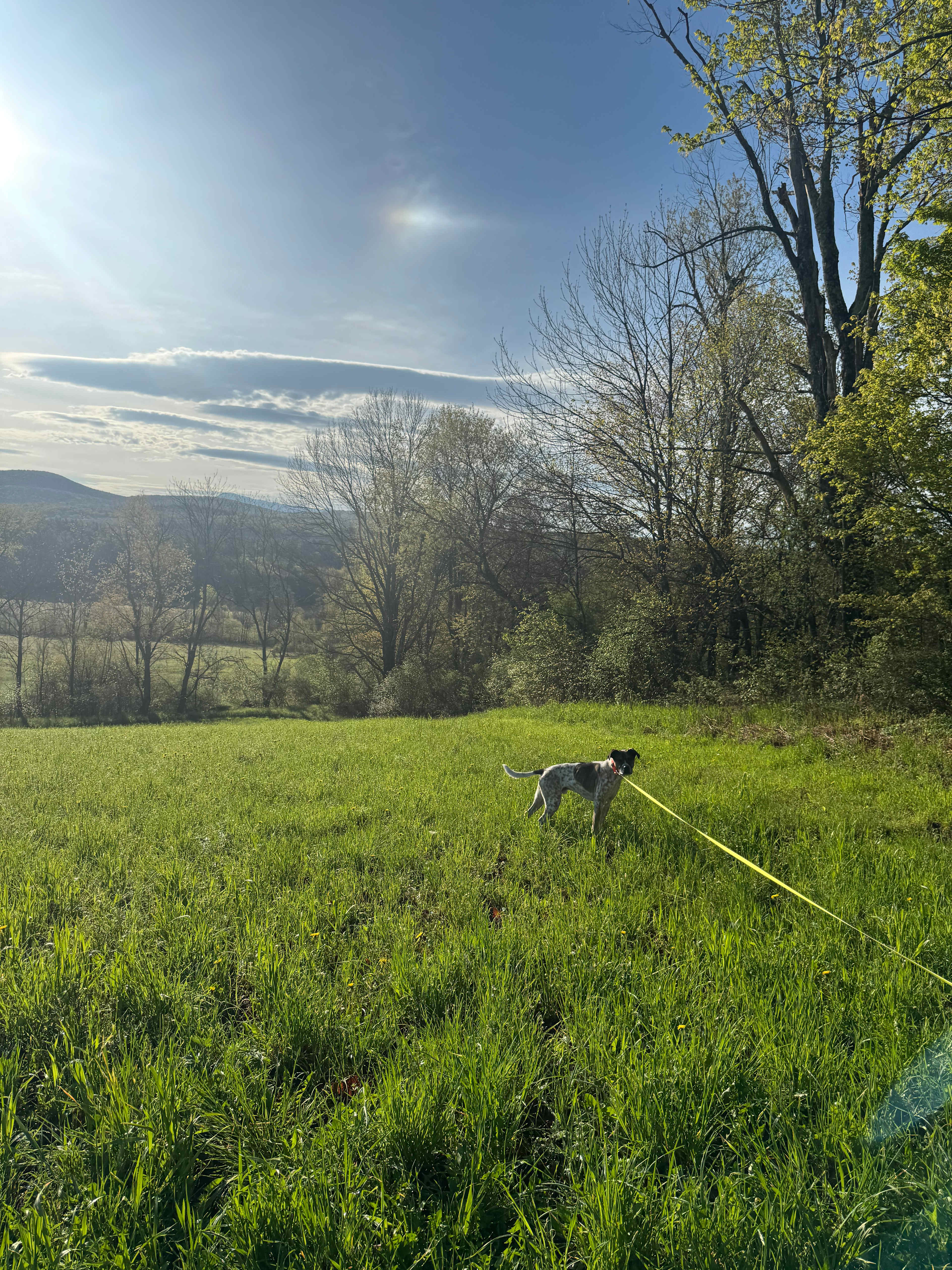 Harold's View Farm