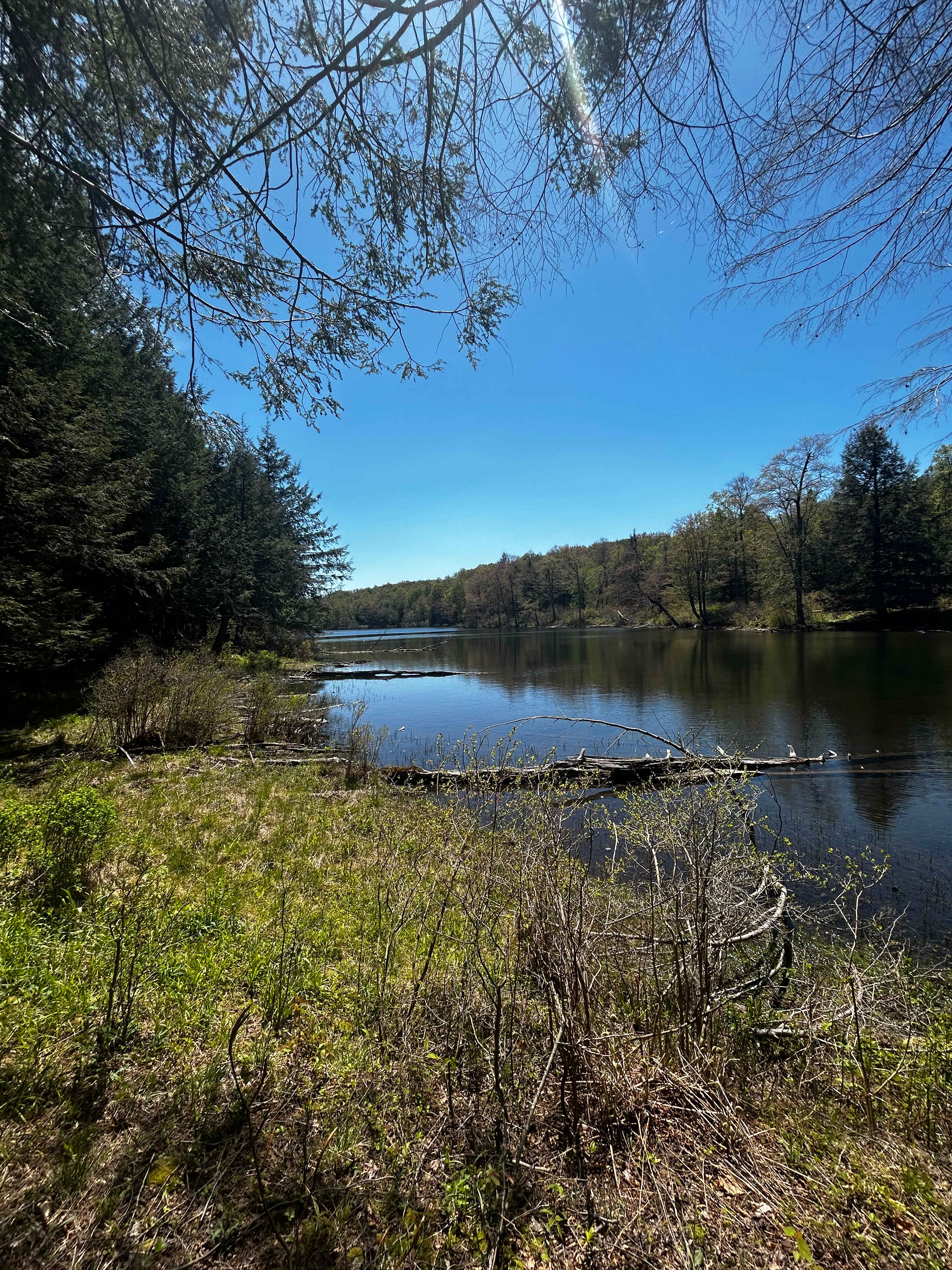 Two Creek Wildland