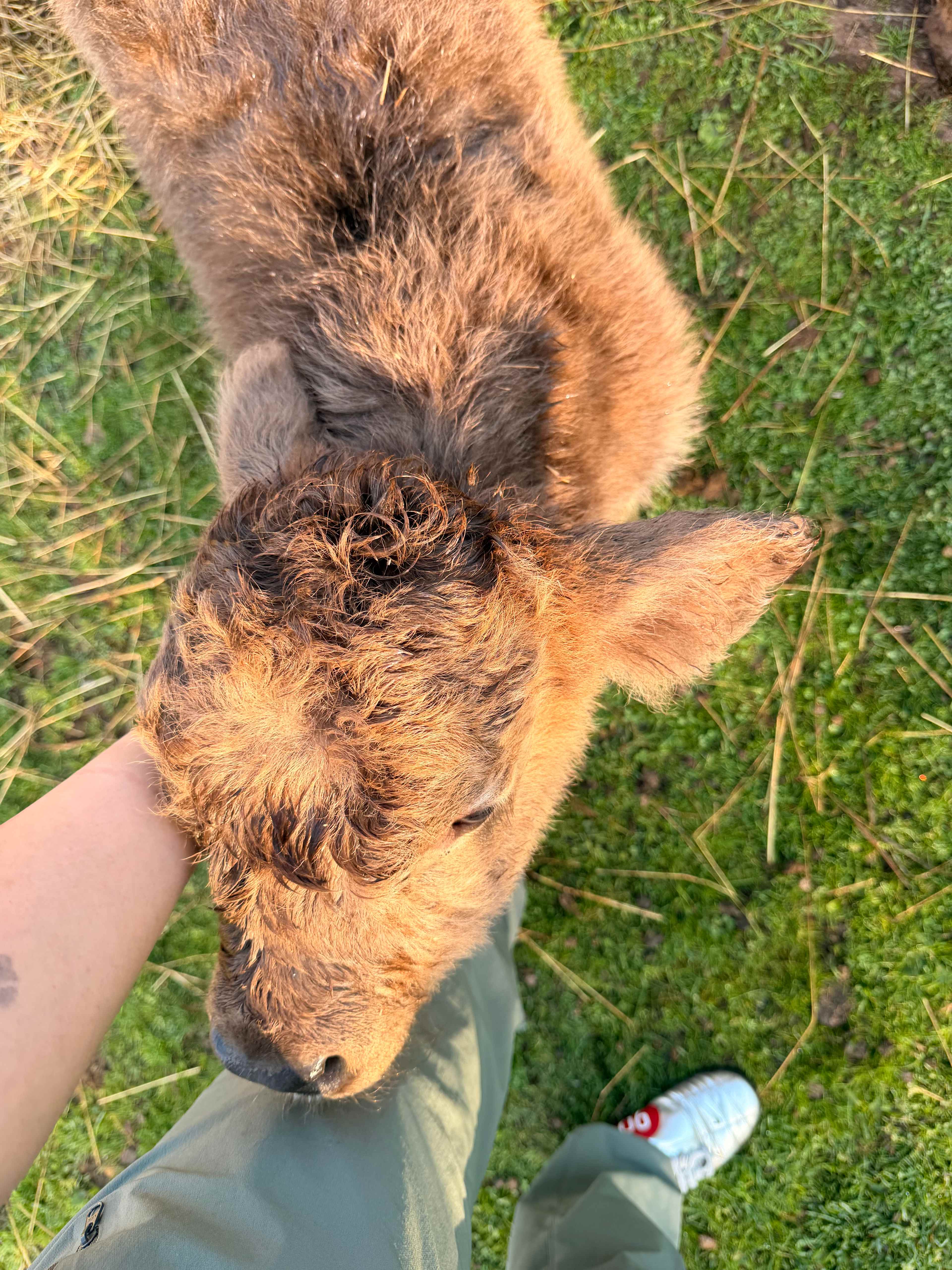 BeaverWood Farm (no children)