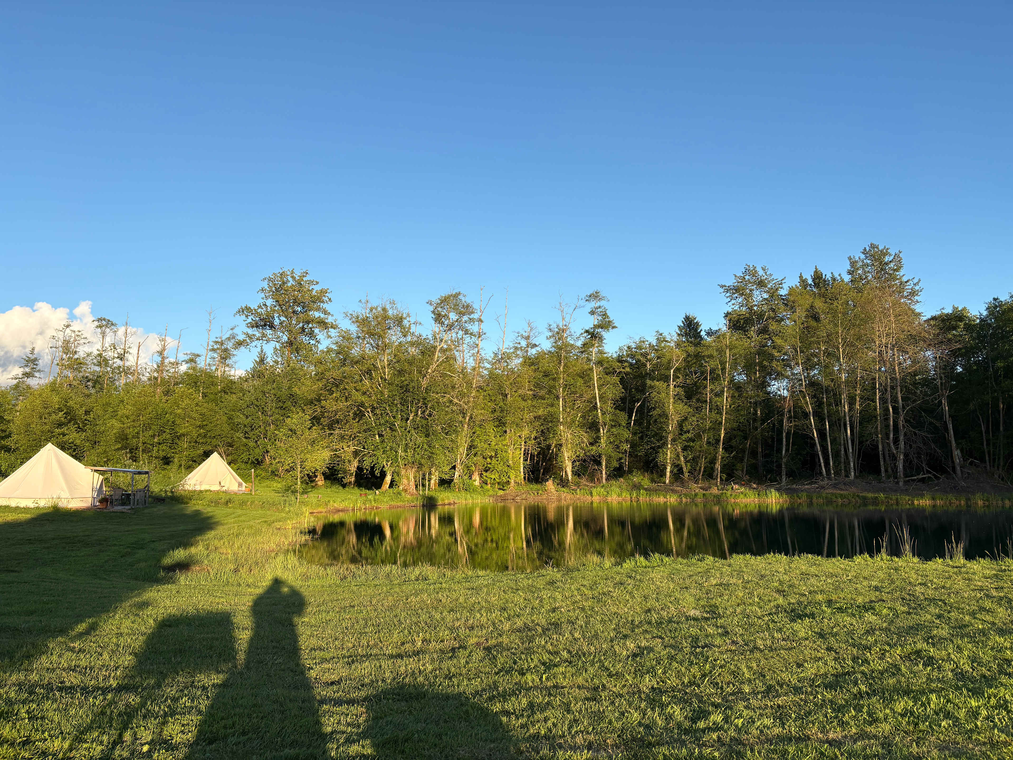 view of pond