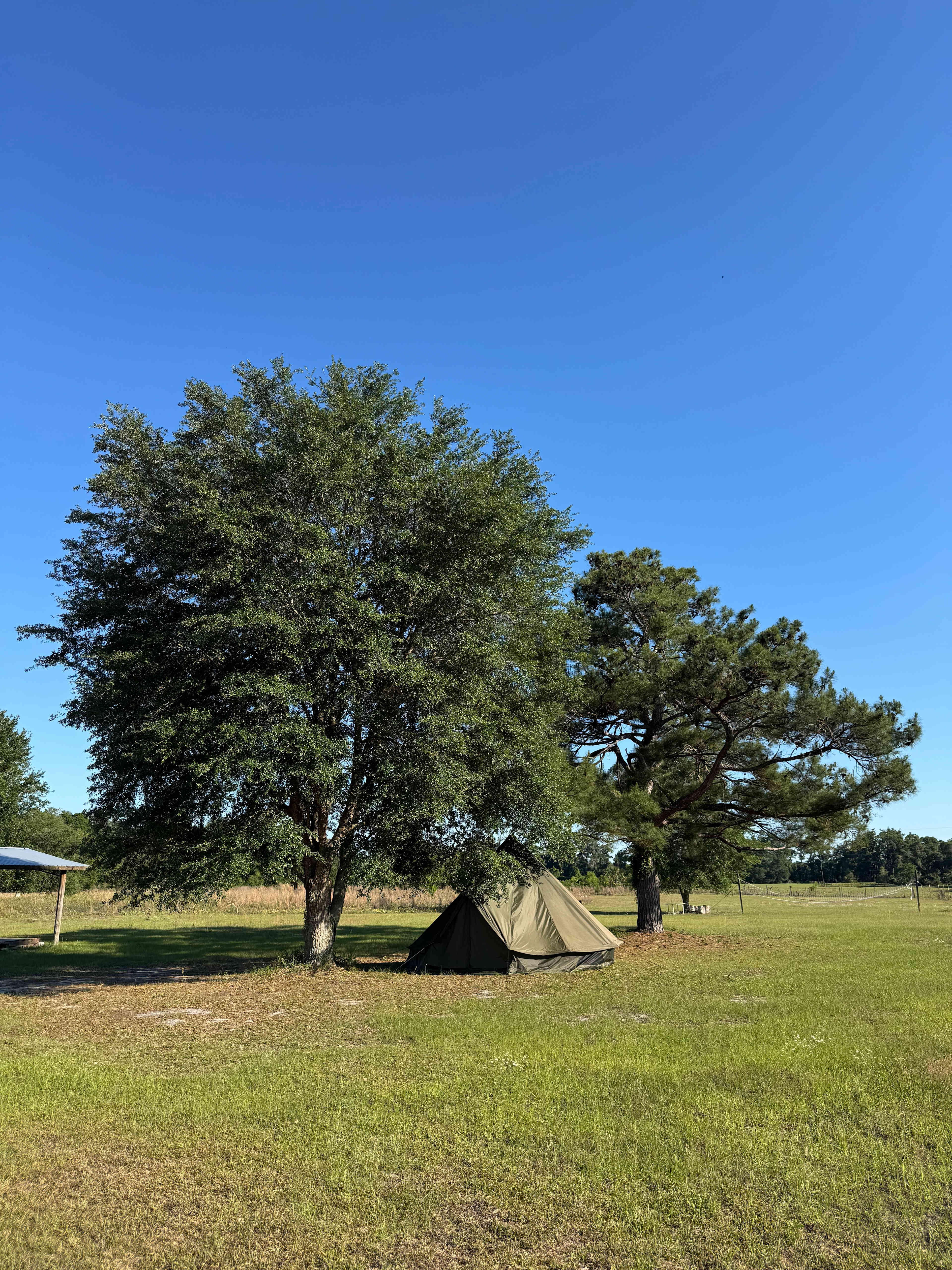 Caceres Organic Blueberry Farms