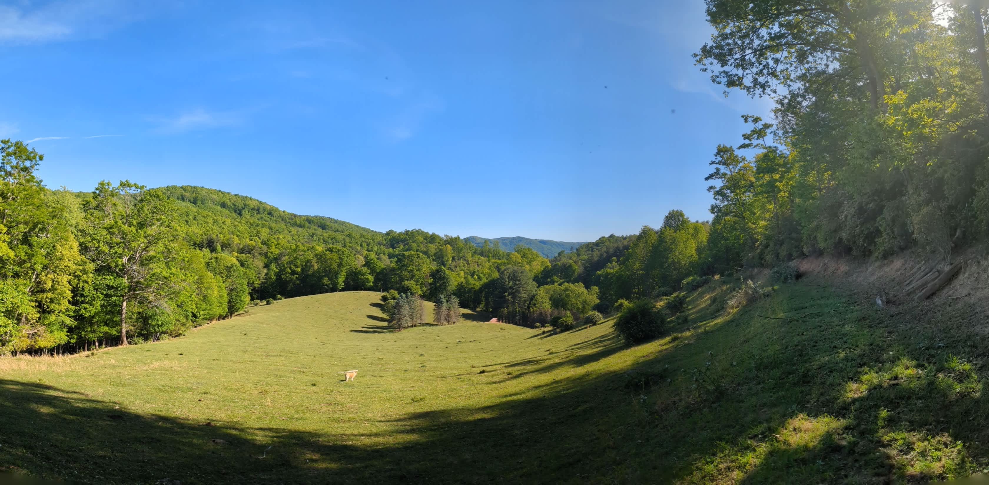 Take a hike to the top of the pasture. It's a great walk