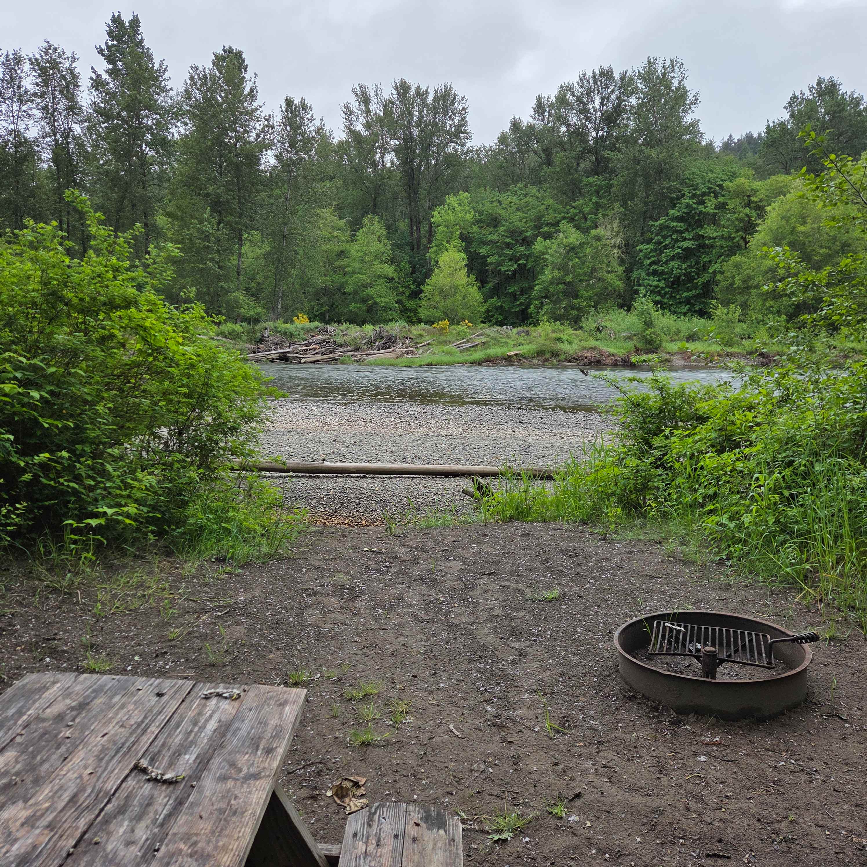 Picture of the site