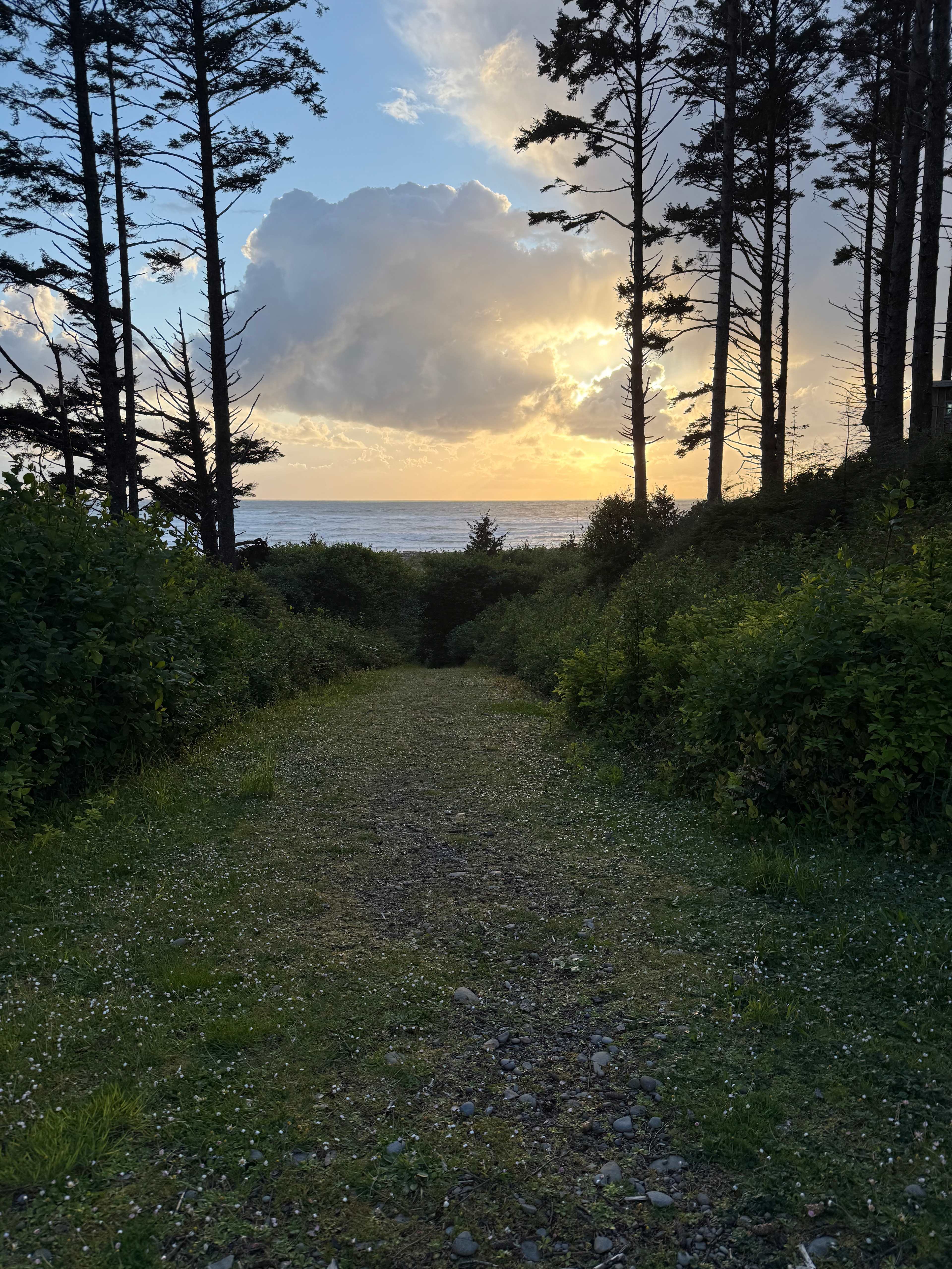 Aliya Preserve—WA Coast Eco-Retreat