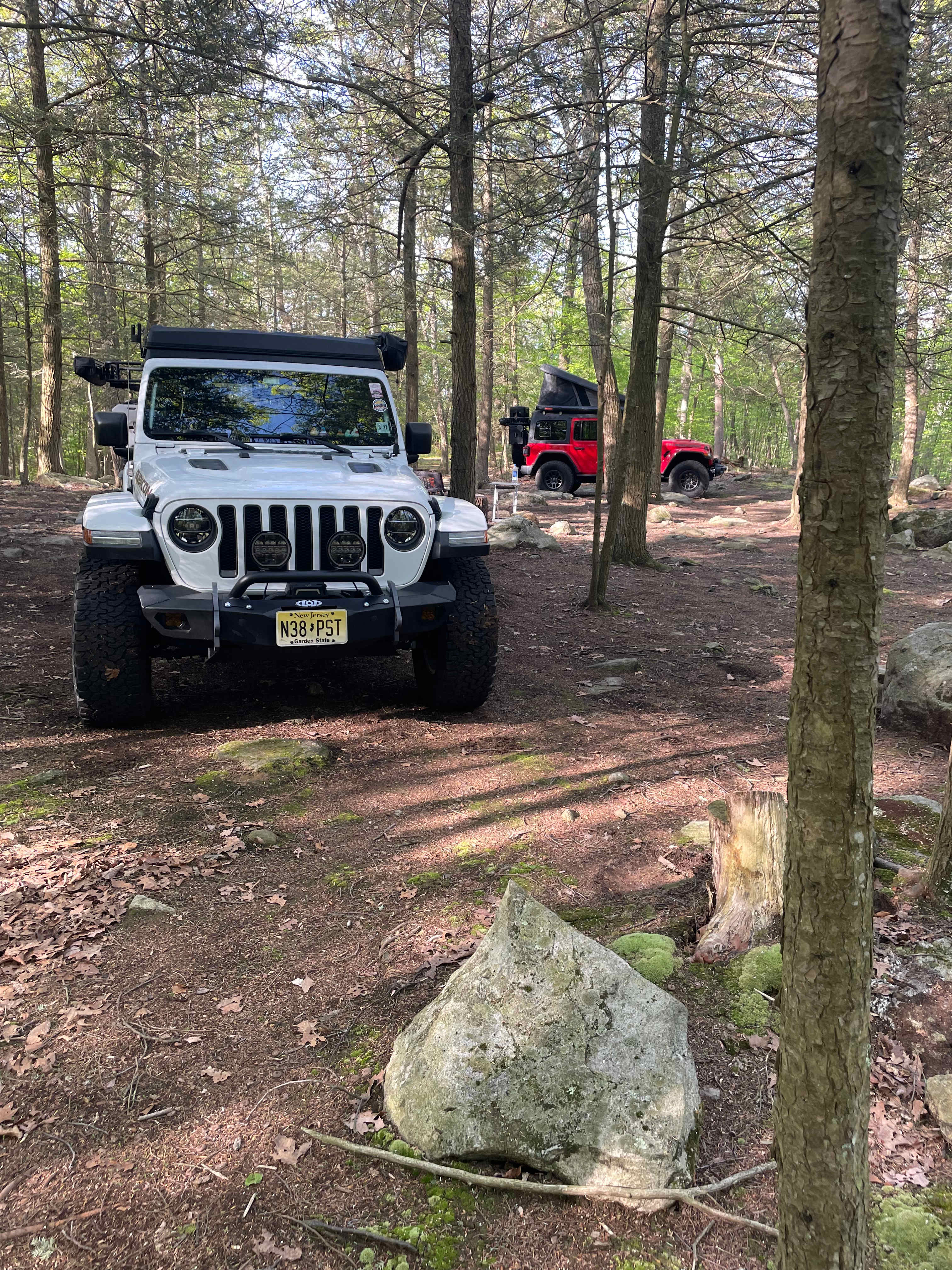 Jeepn
